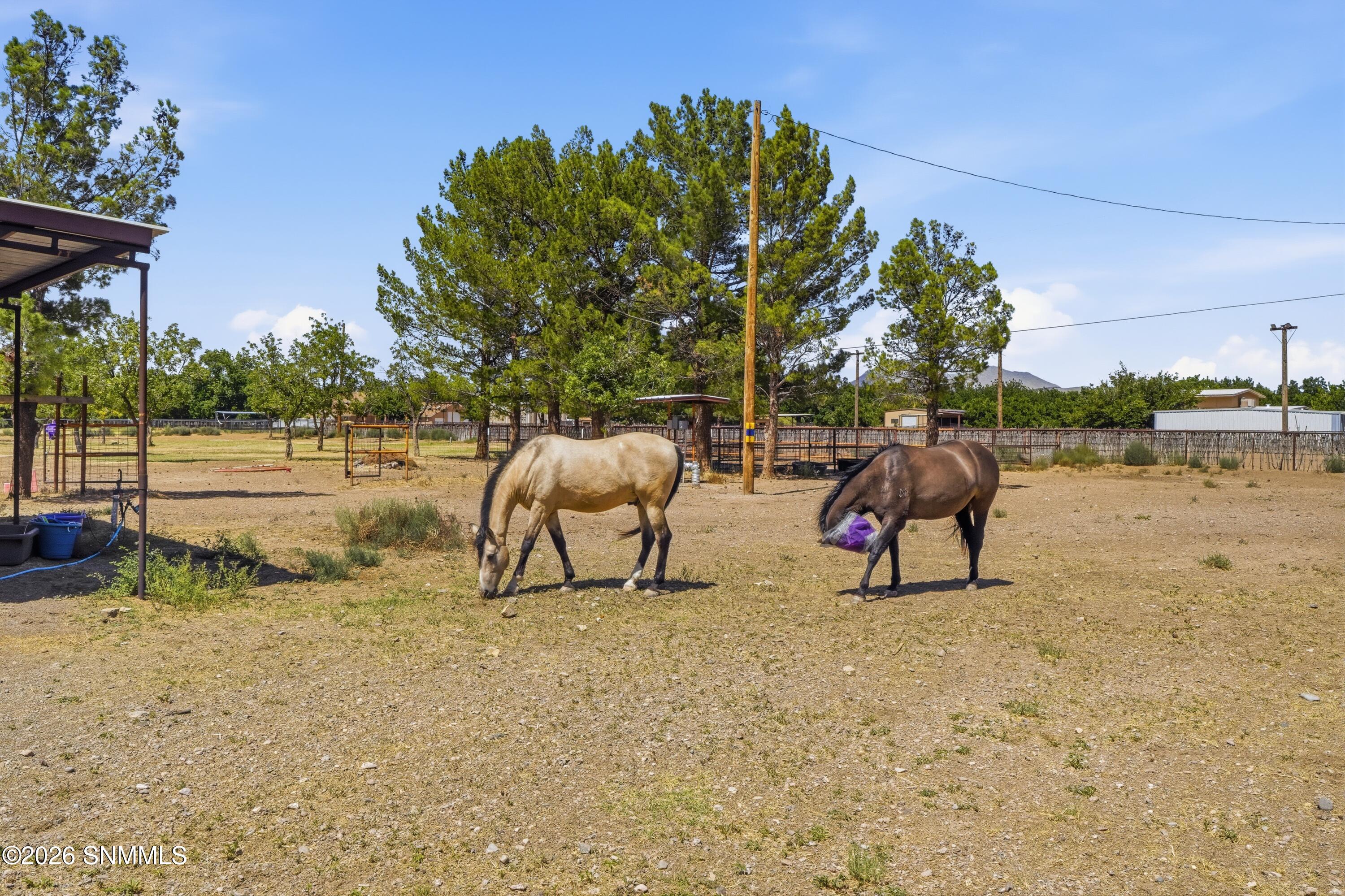 Horses / Livestock Allowed