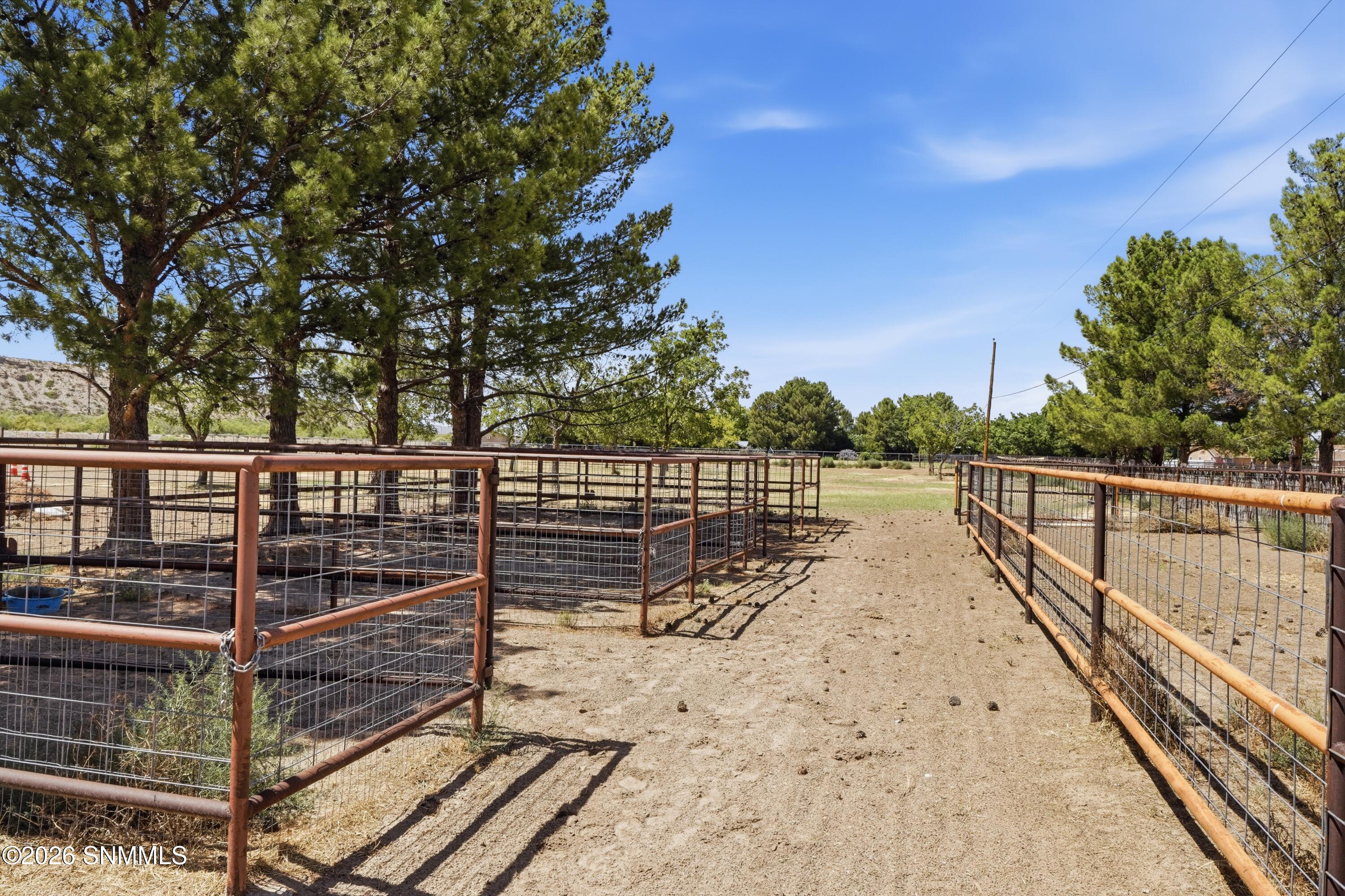 Horse Stalls
