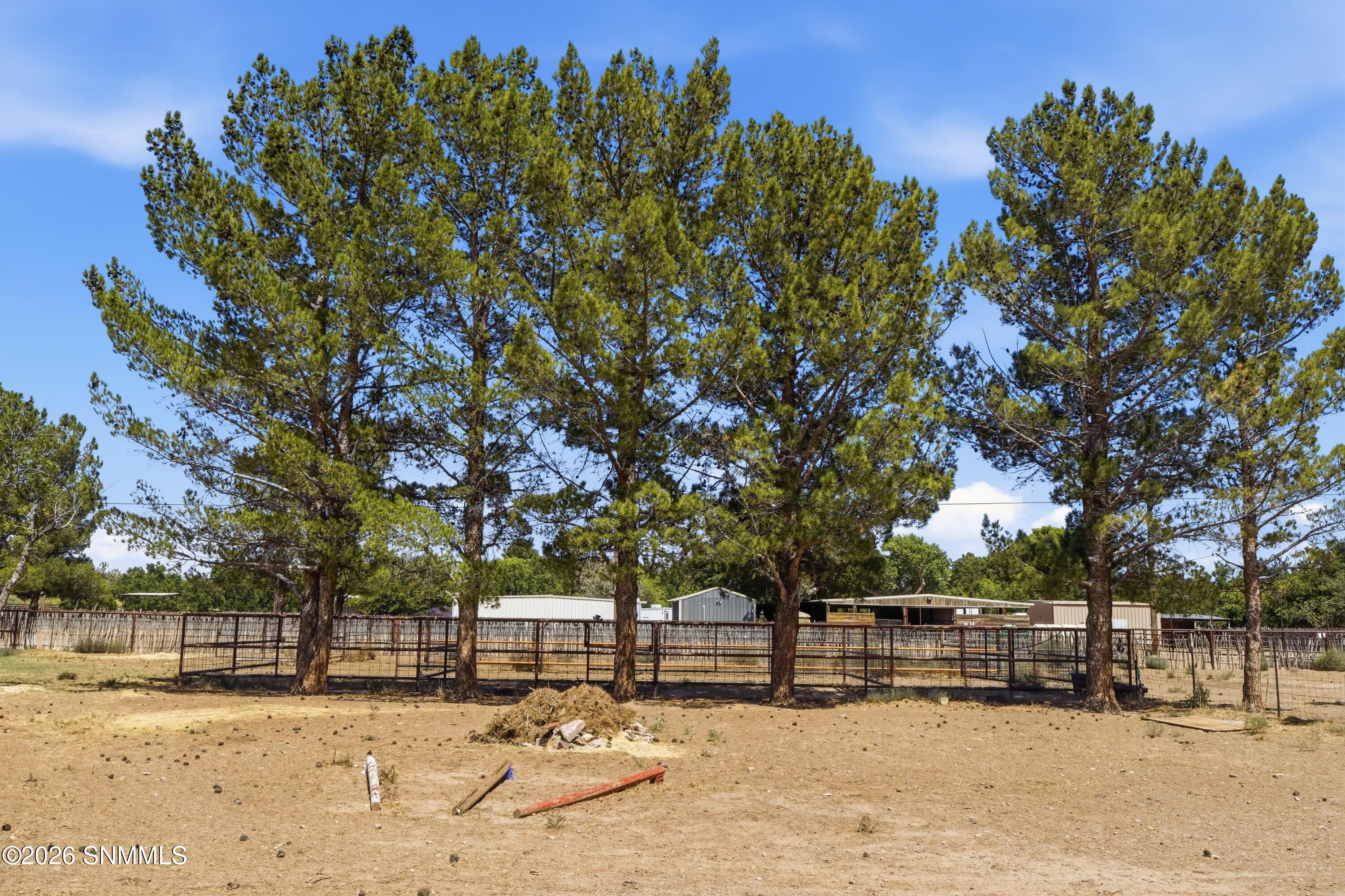 View of Shaded Stalls