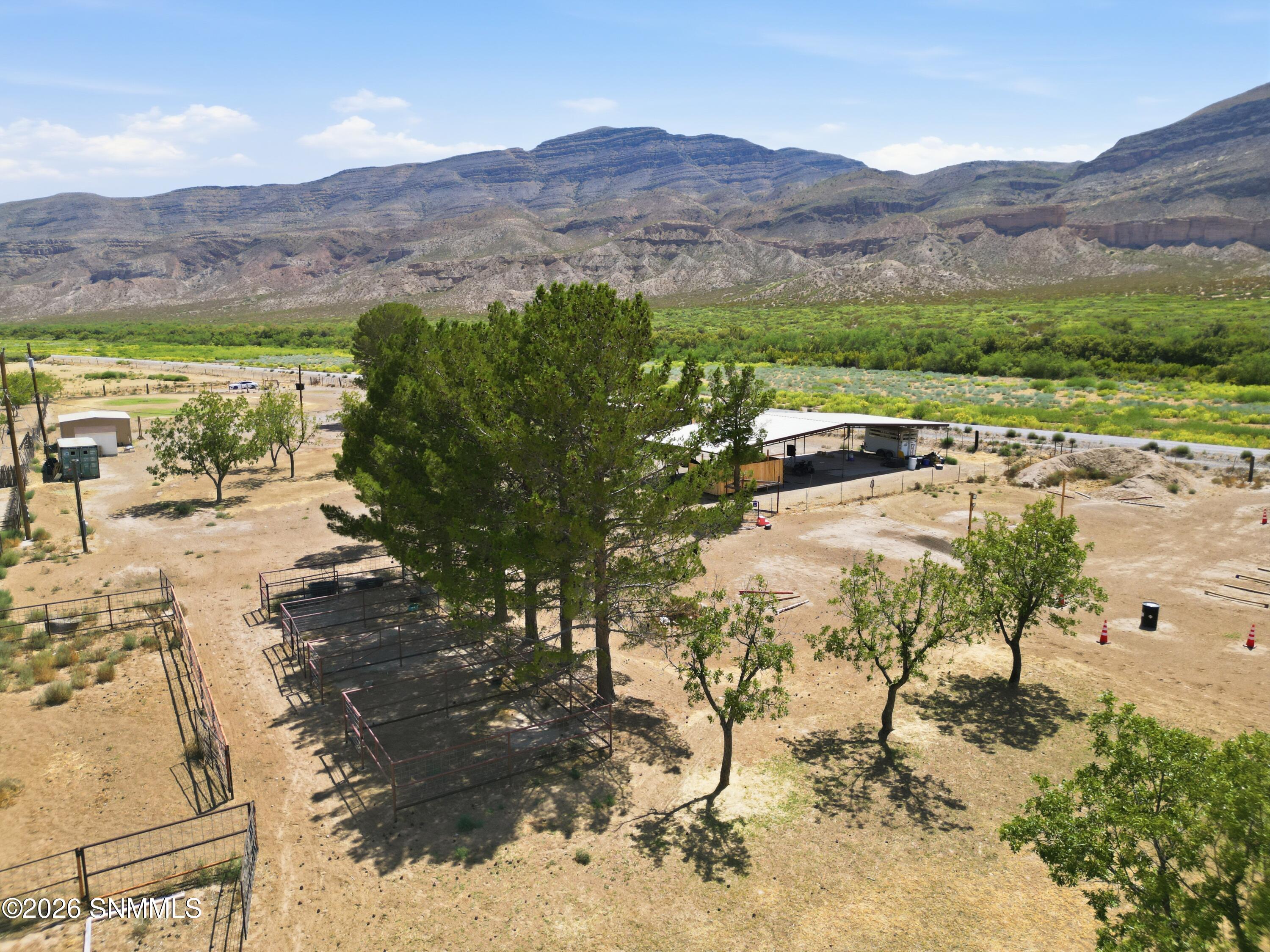 Horse Stalls (Steel Pipe)
