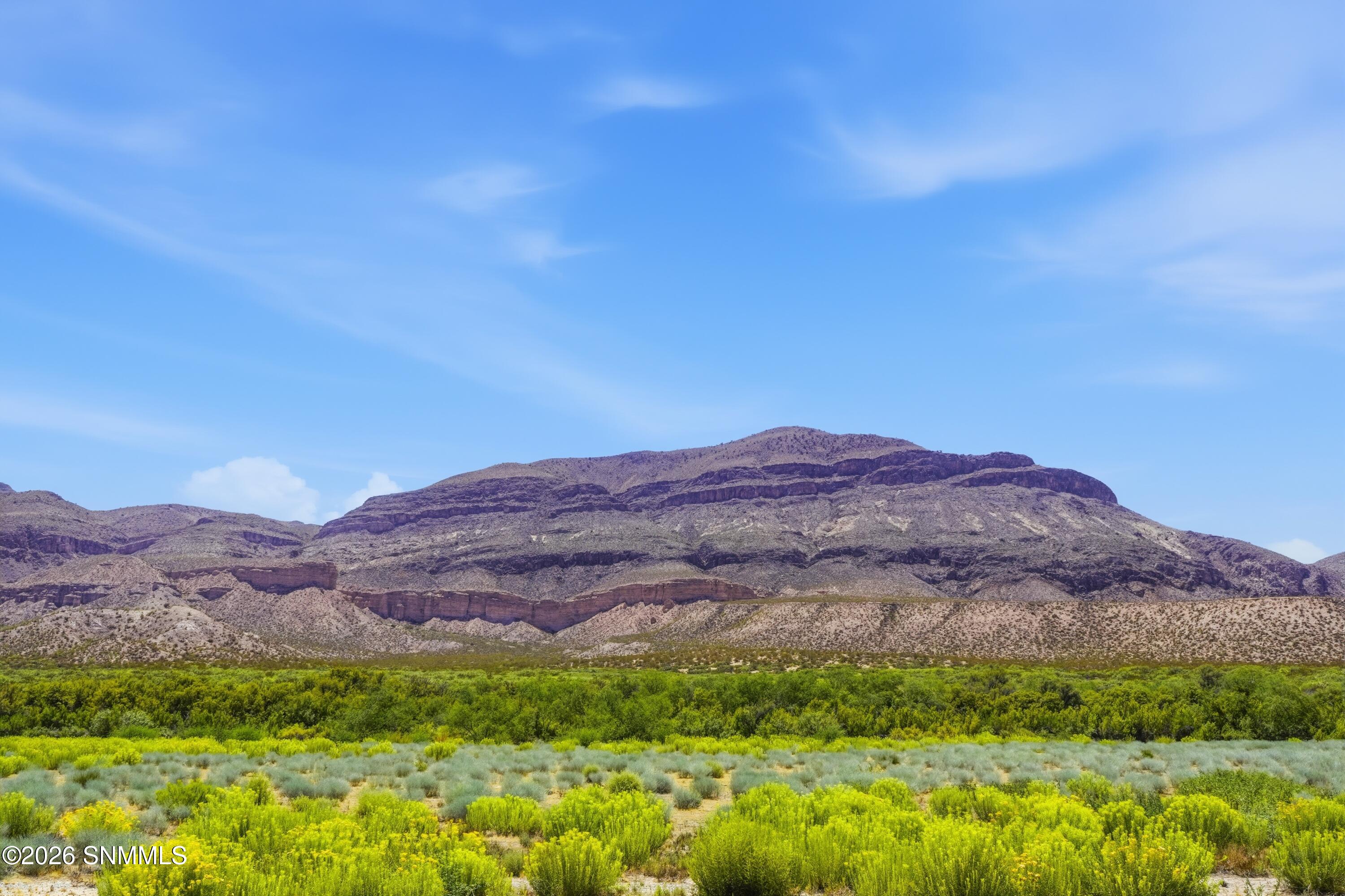 View Bordering Property