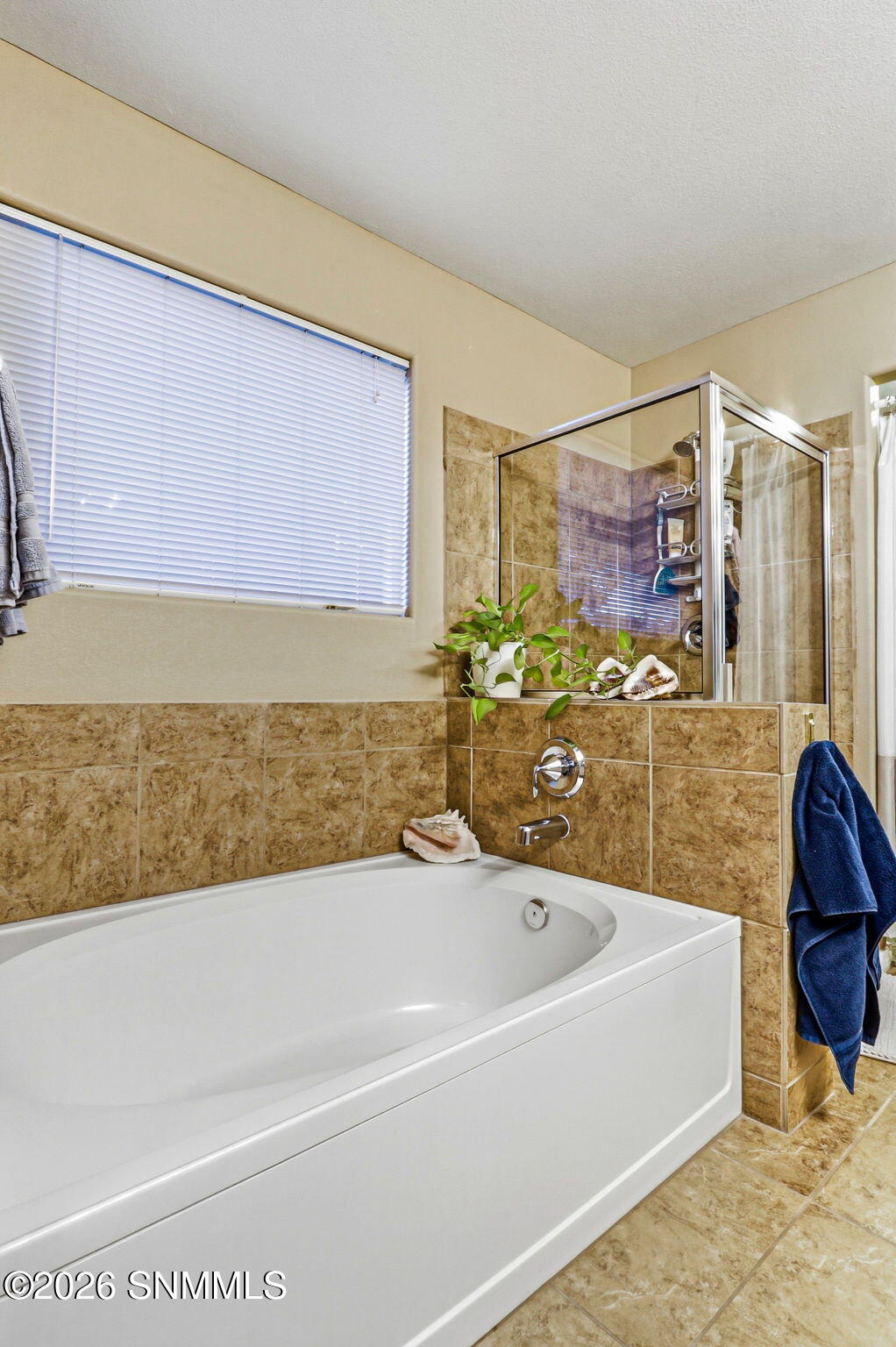 20-web-or-mls-IMG_9439