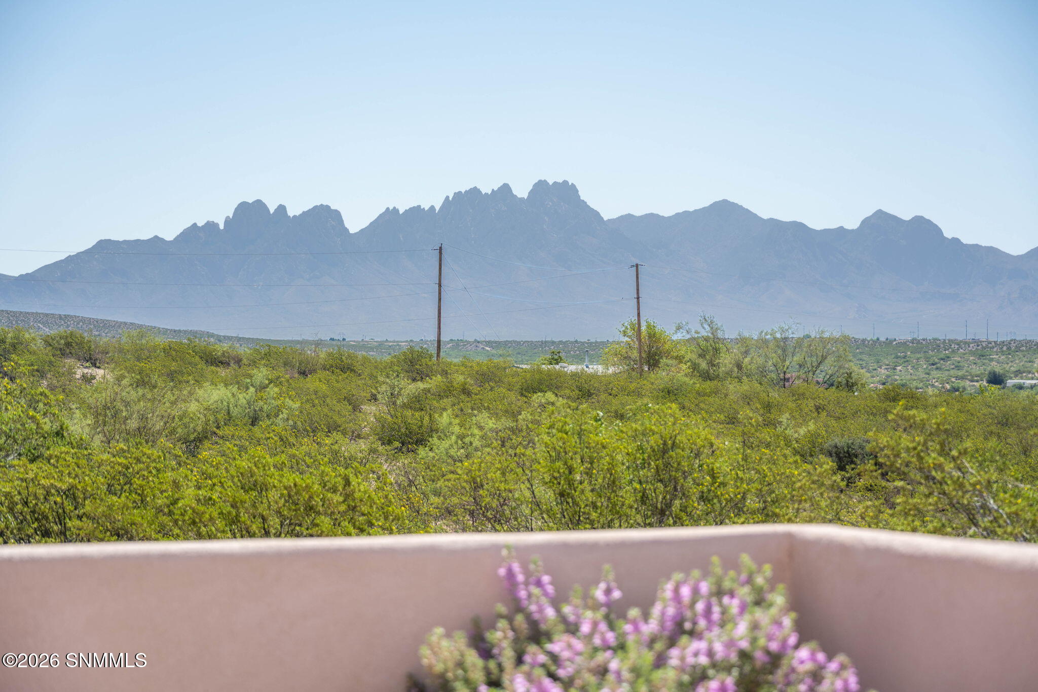 5-web-or-mls-Snappin Homes (DesertRidgeR