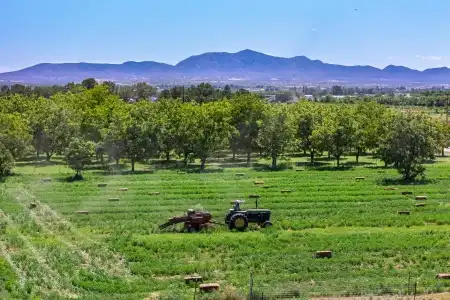 2905 Burkett Place, Anthony, New Mexico 88021, ,Land,For Sale,Burkett,2602414