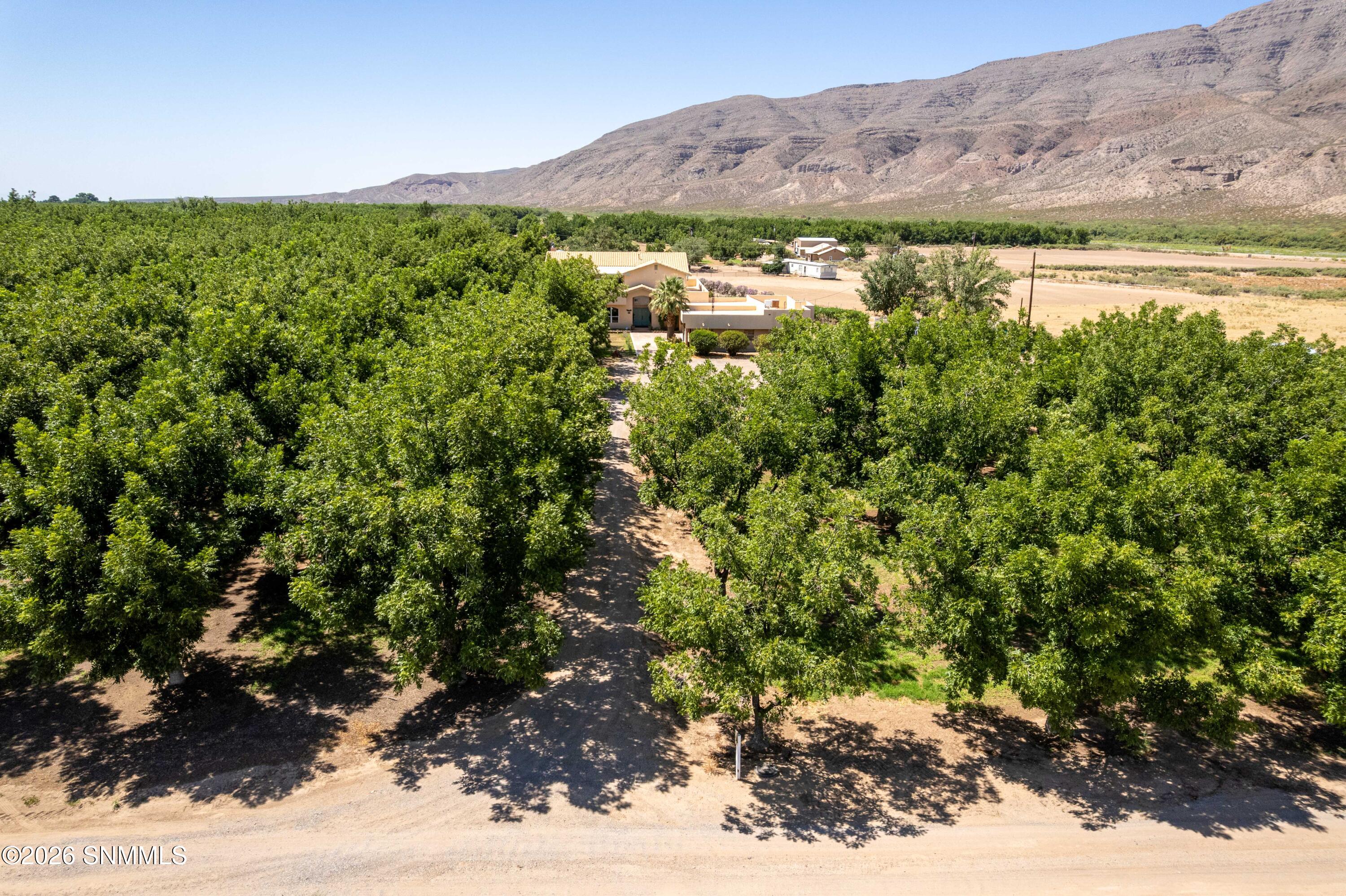 43_Home_Orchard_90