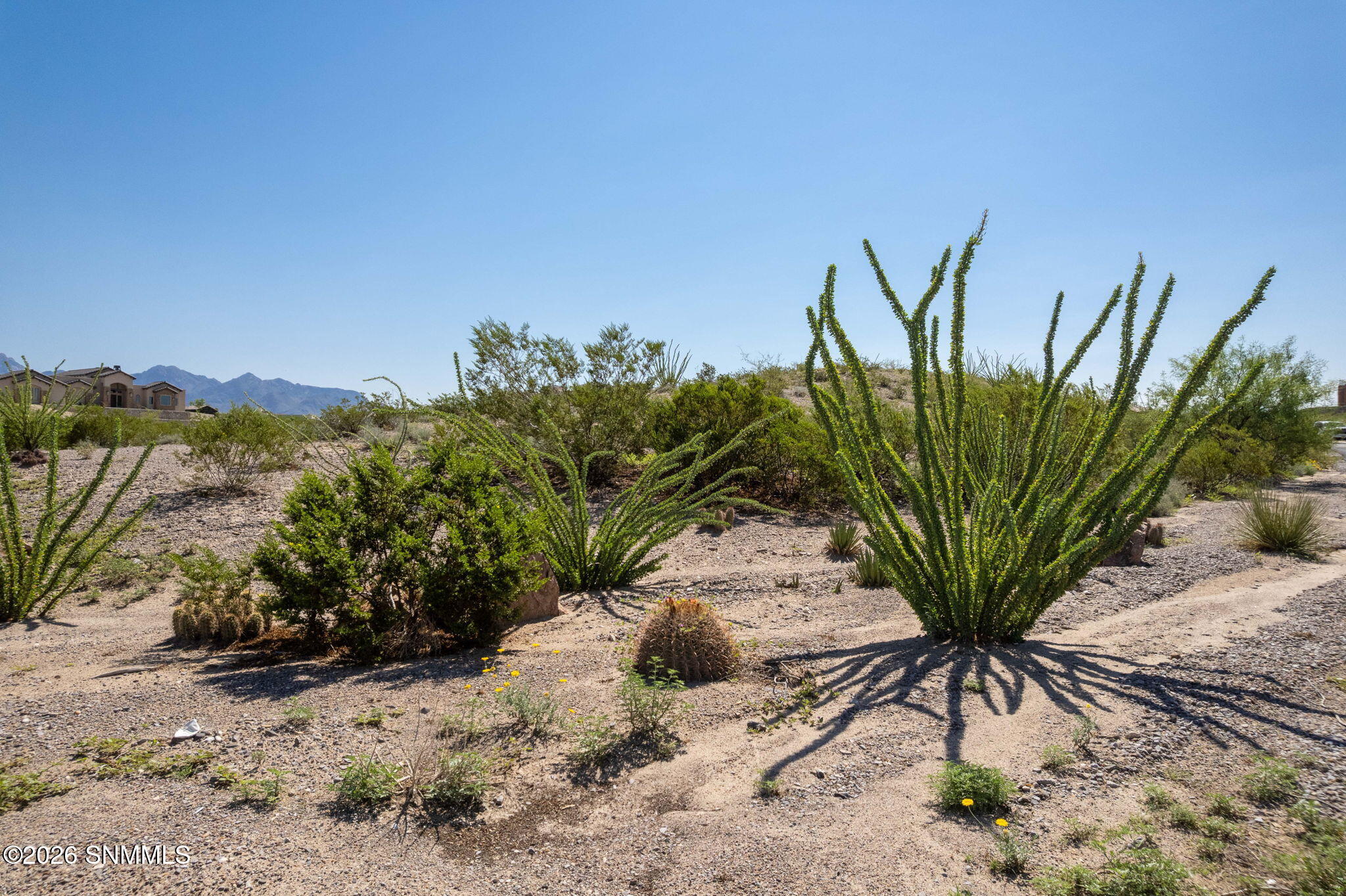 9-web-or-mls-Snappin Homes (LazoDelNorte