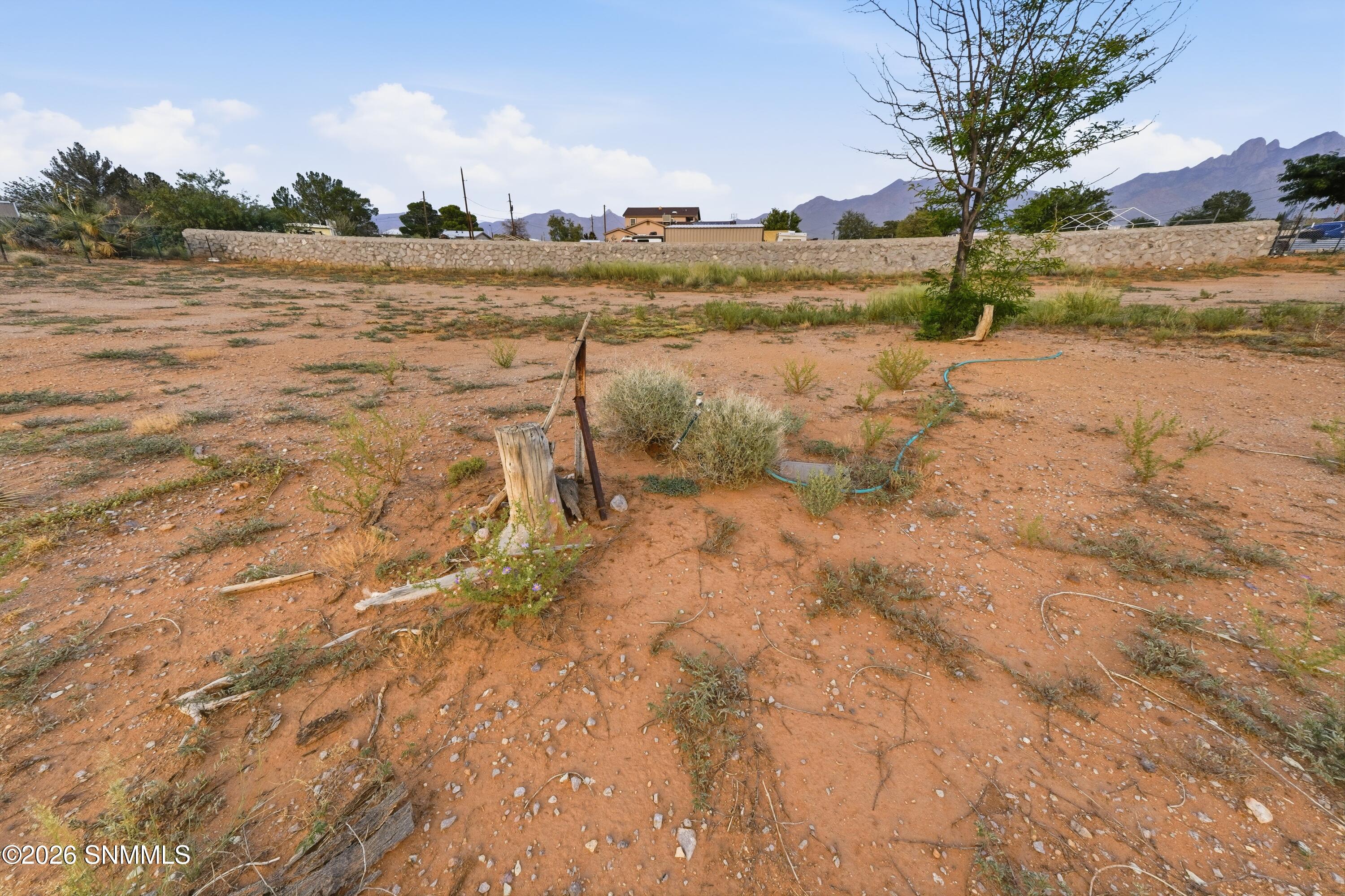 Cactus_Keys_Group_007