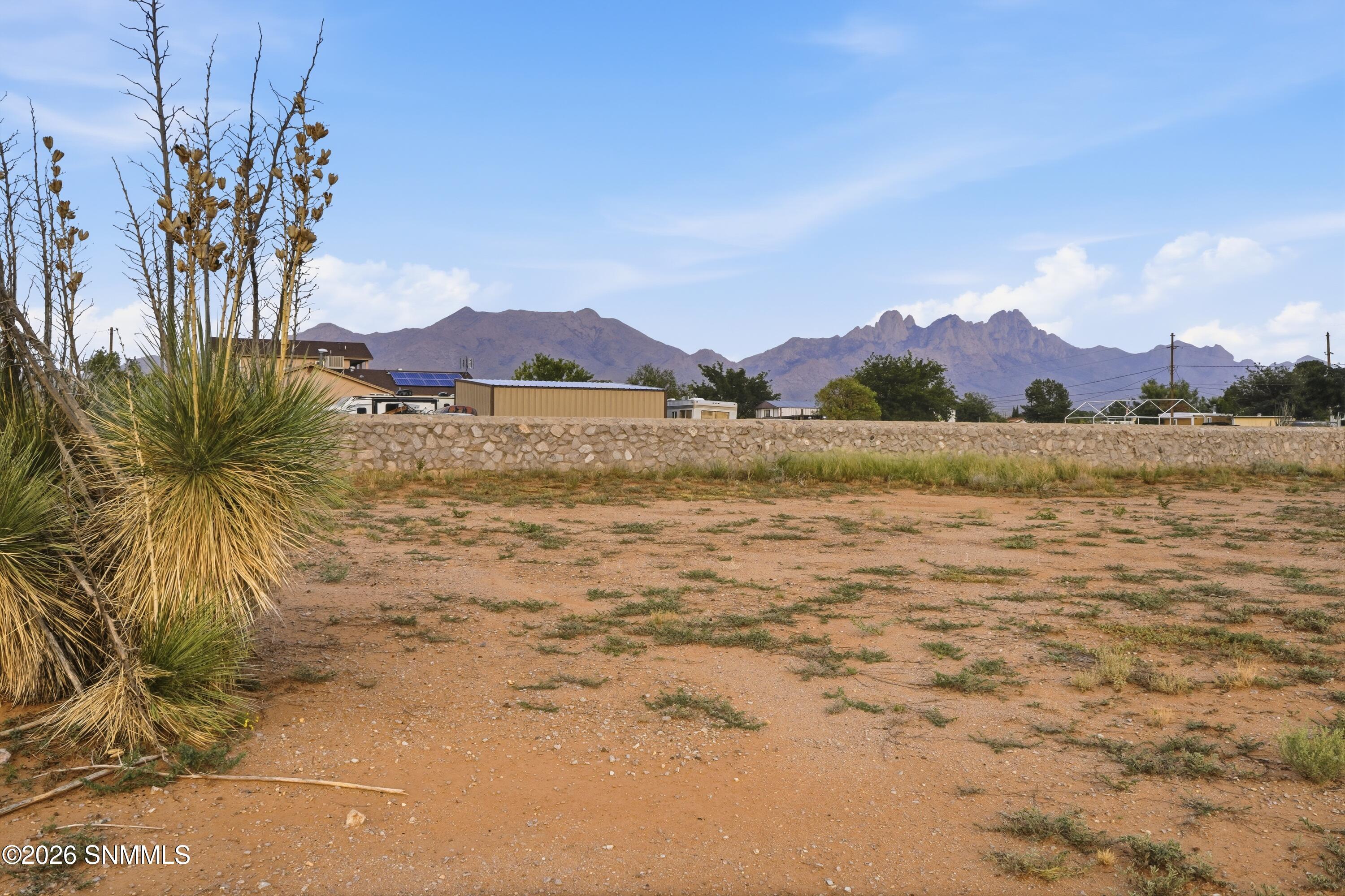Cactus_Keys_Group_005(1)