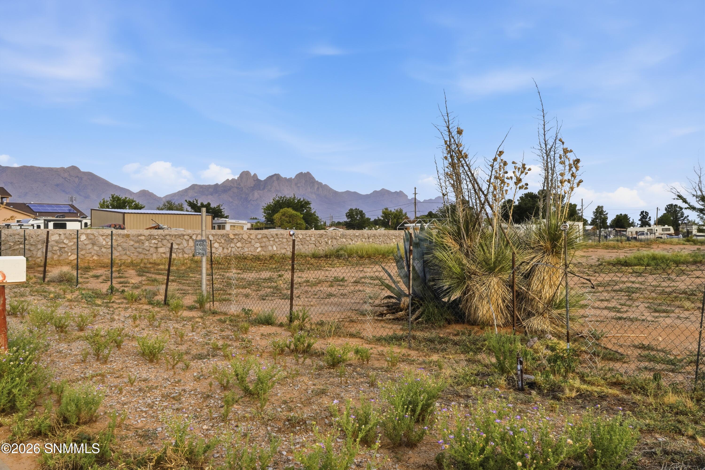 Cactus_Keys_Group_004