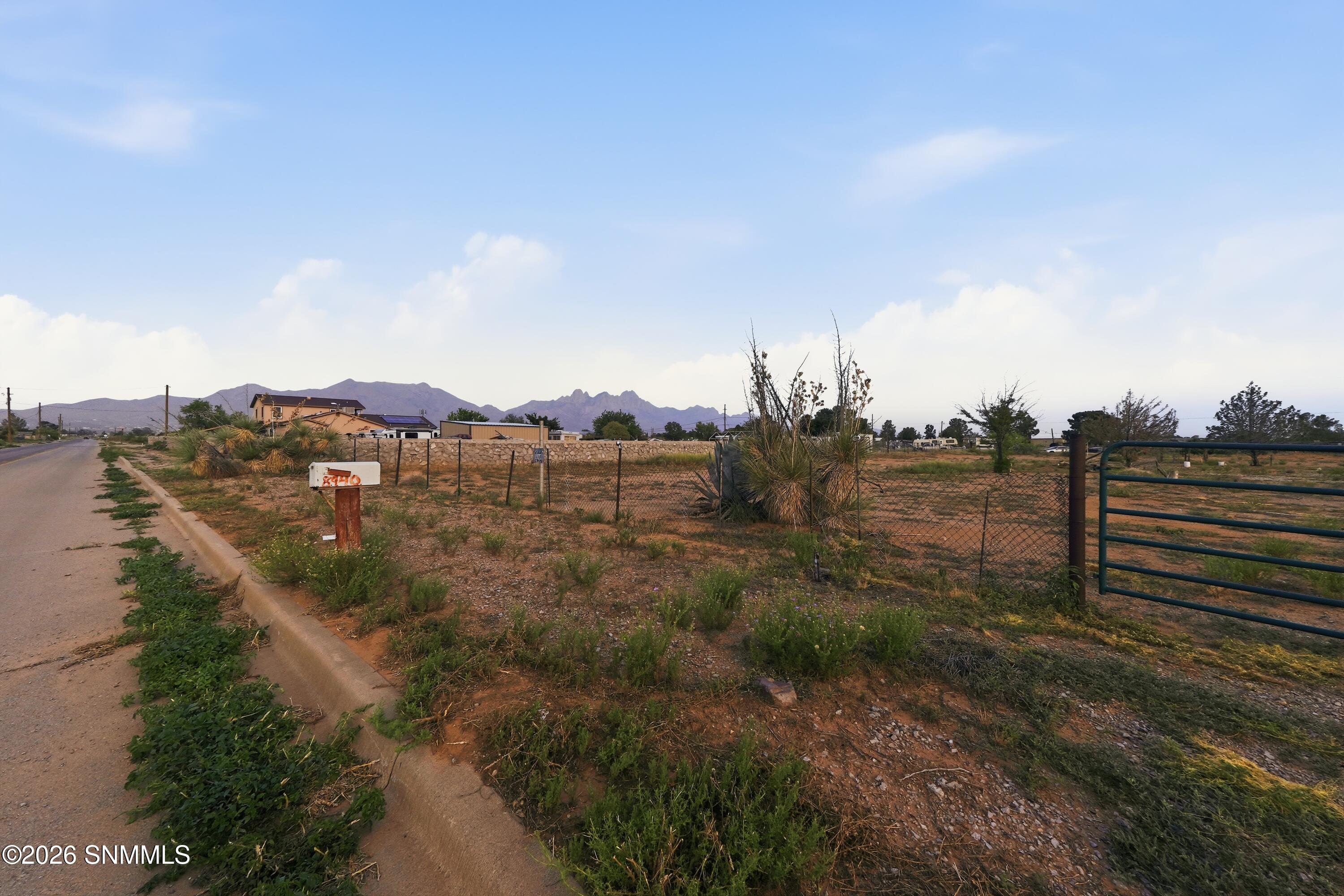 Cactus_Keys_Group_003(1)