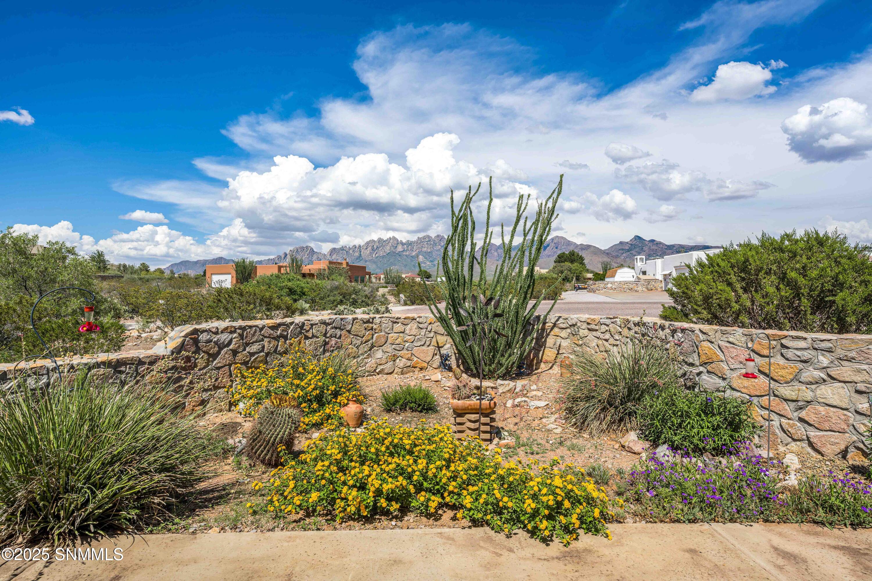Snappin Homes (Saguaro3935)-61