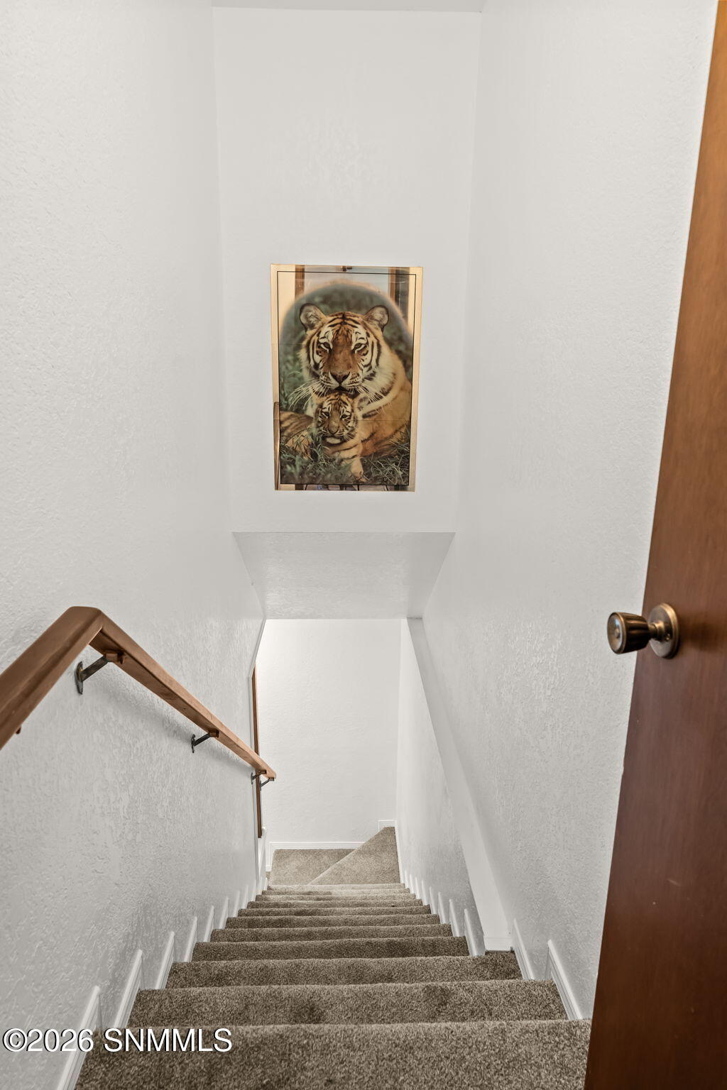 Basement Stairs