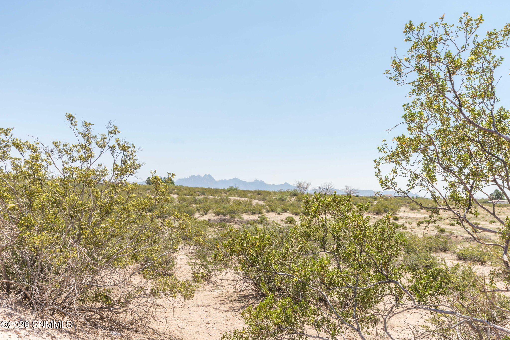 42-web-or-mls-Snappin Homes (DelRey-Sand