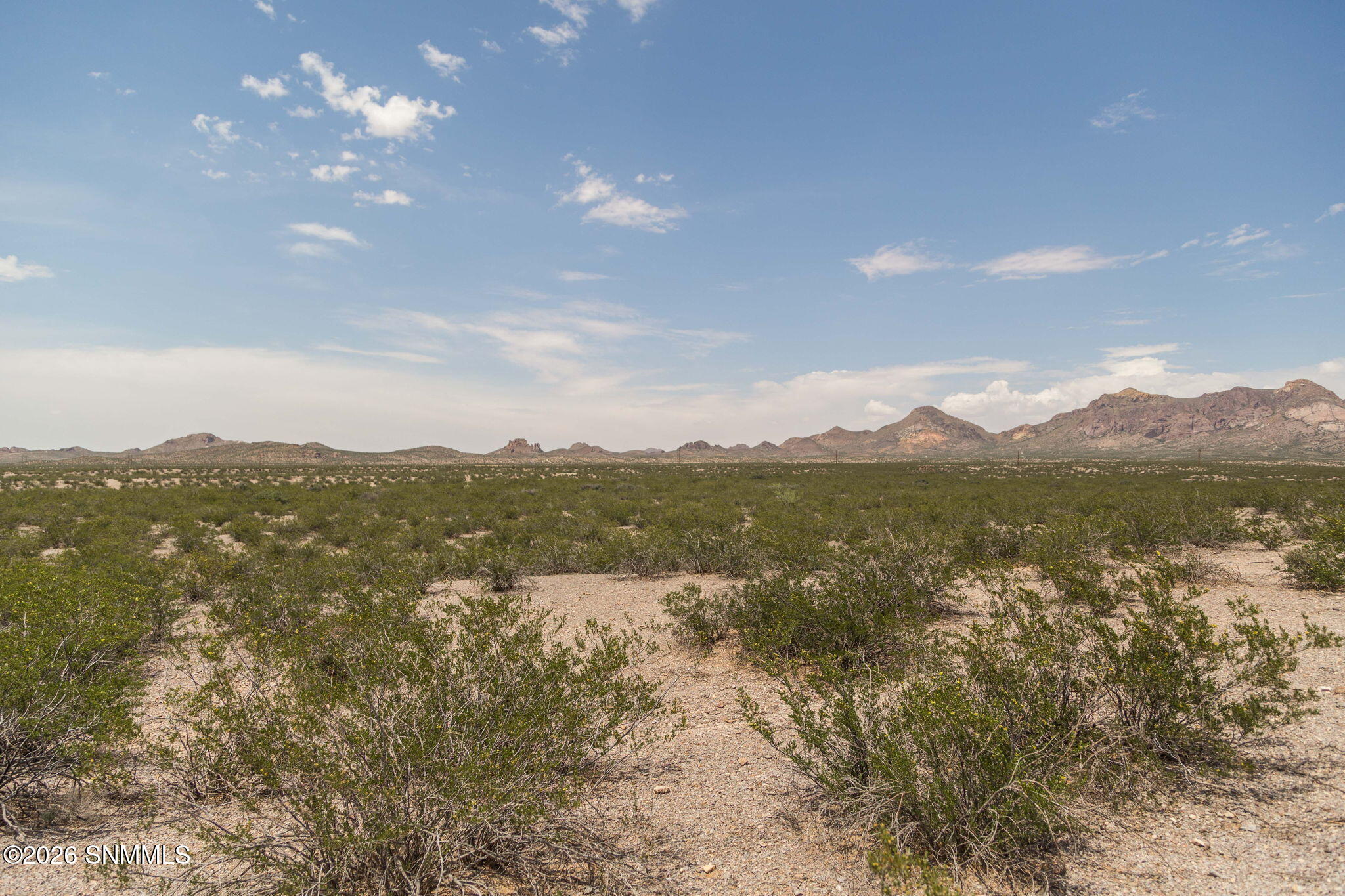 10-web-or-mls-Snappin Homes (R0305380)-1