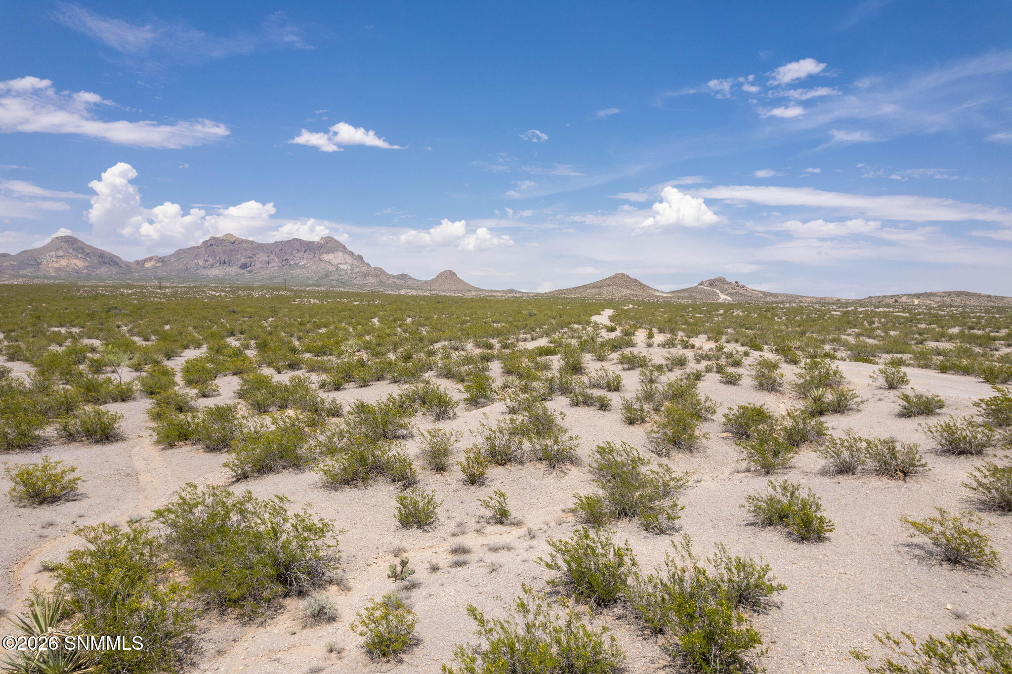 8-web-or-mls-Snappin Homes (R0305380)-8