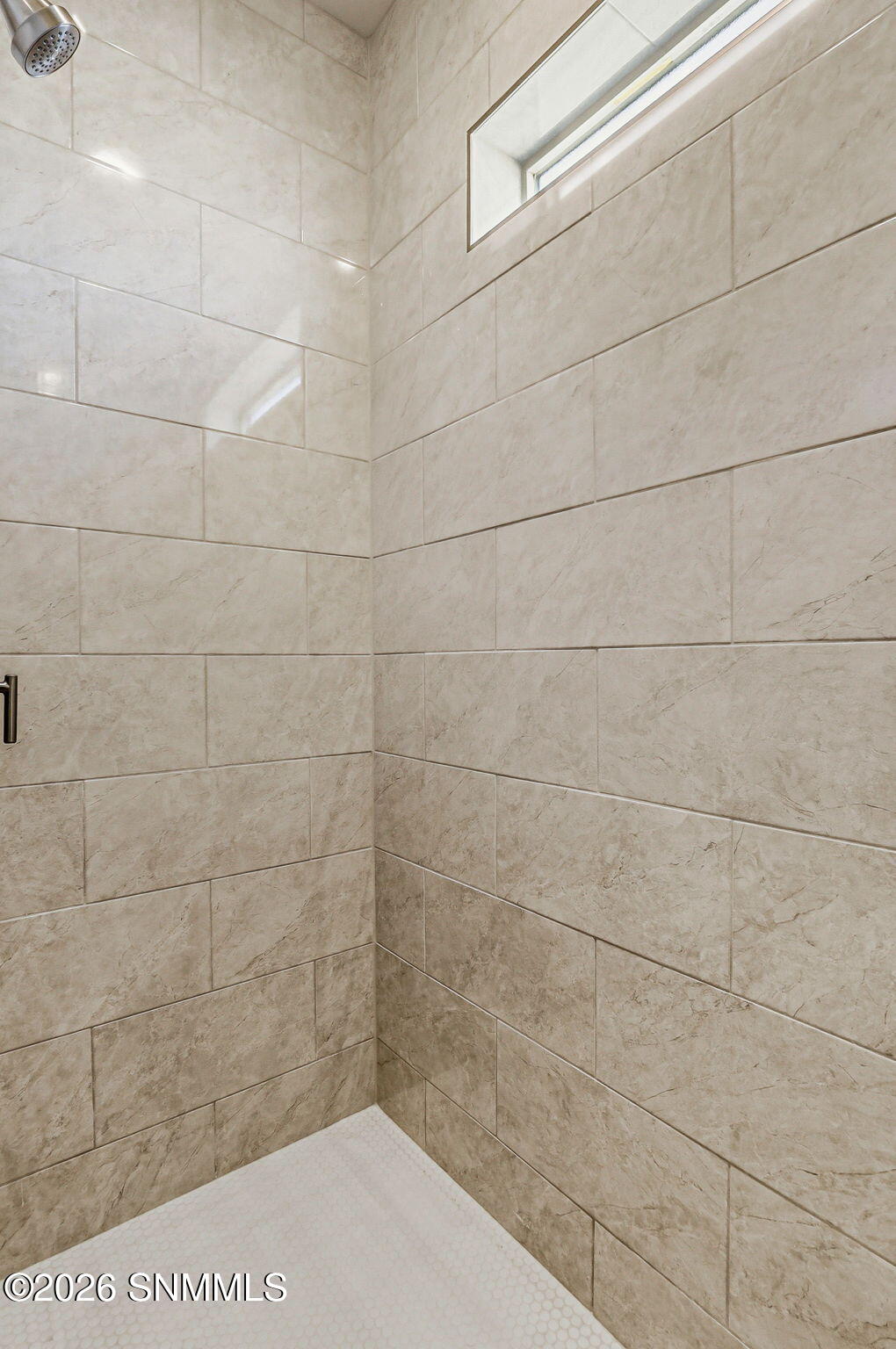 Primary Walk-in Shower