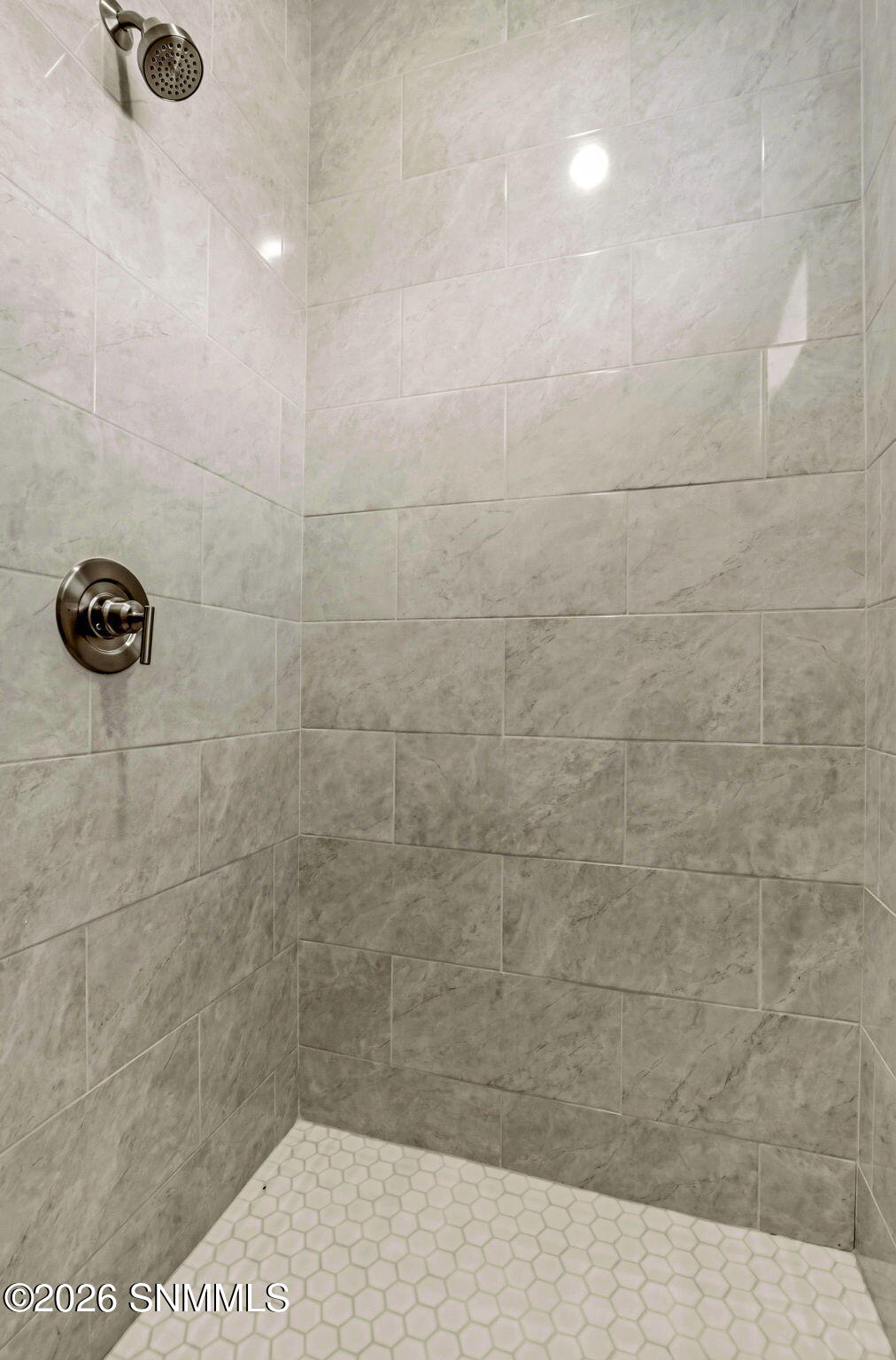 Primary Walk-in Shower