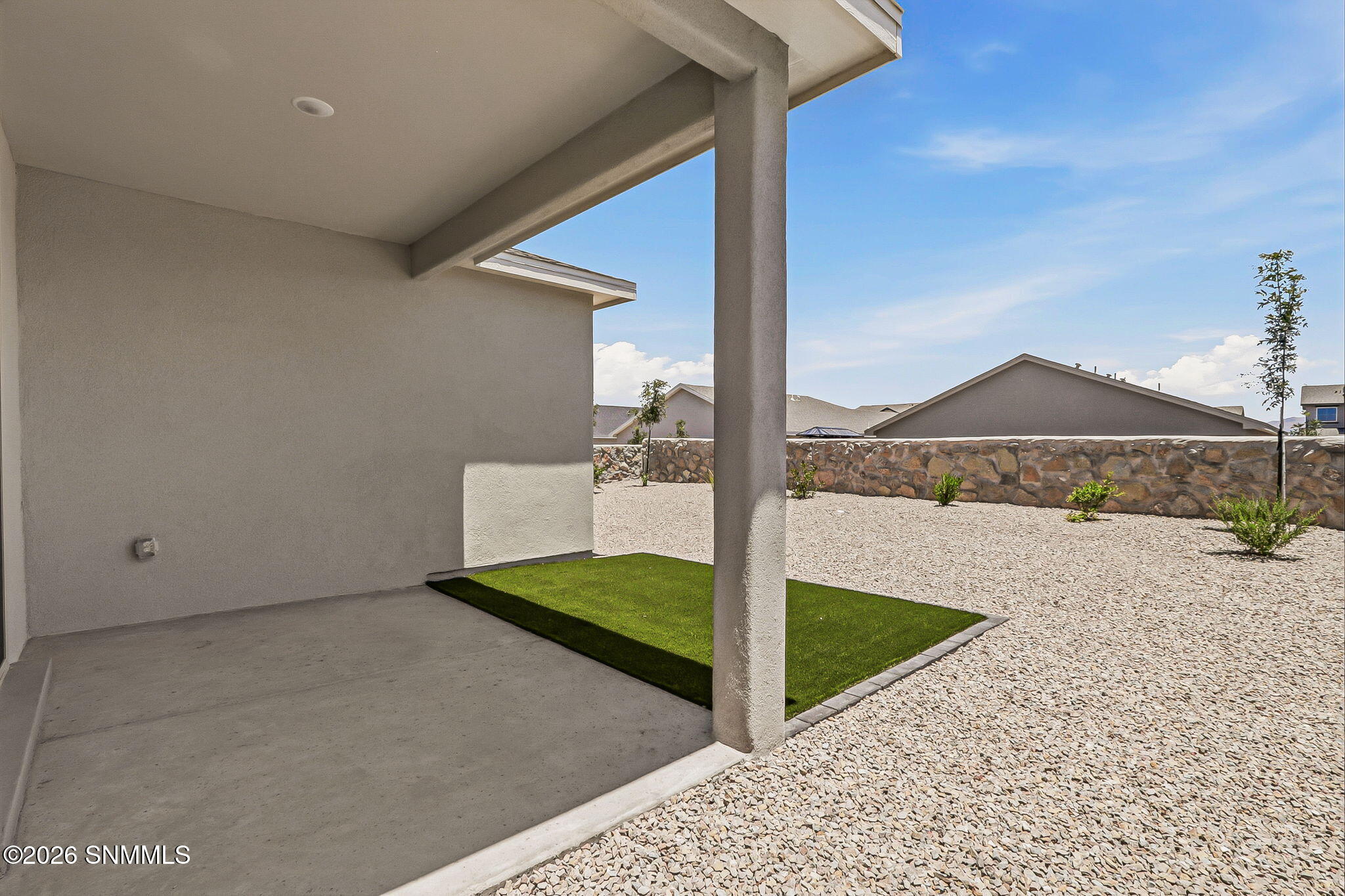 Back yard