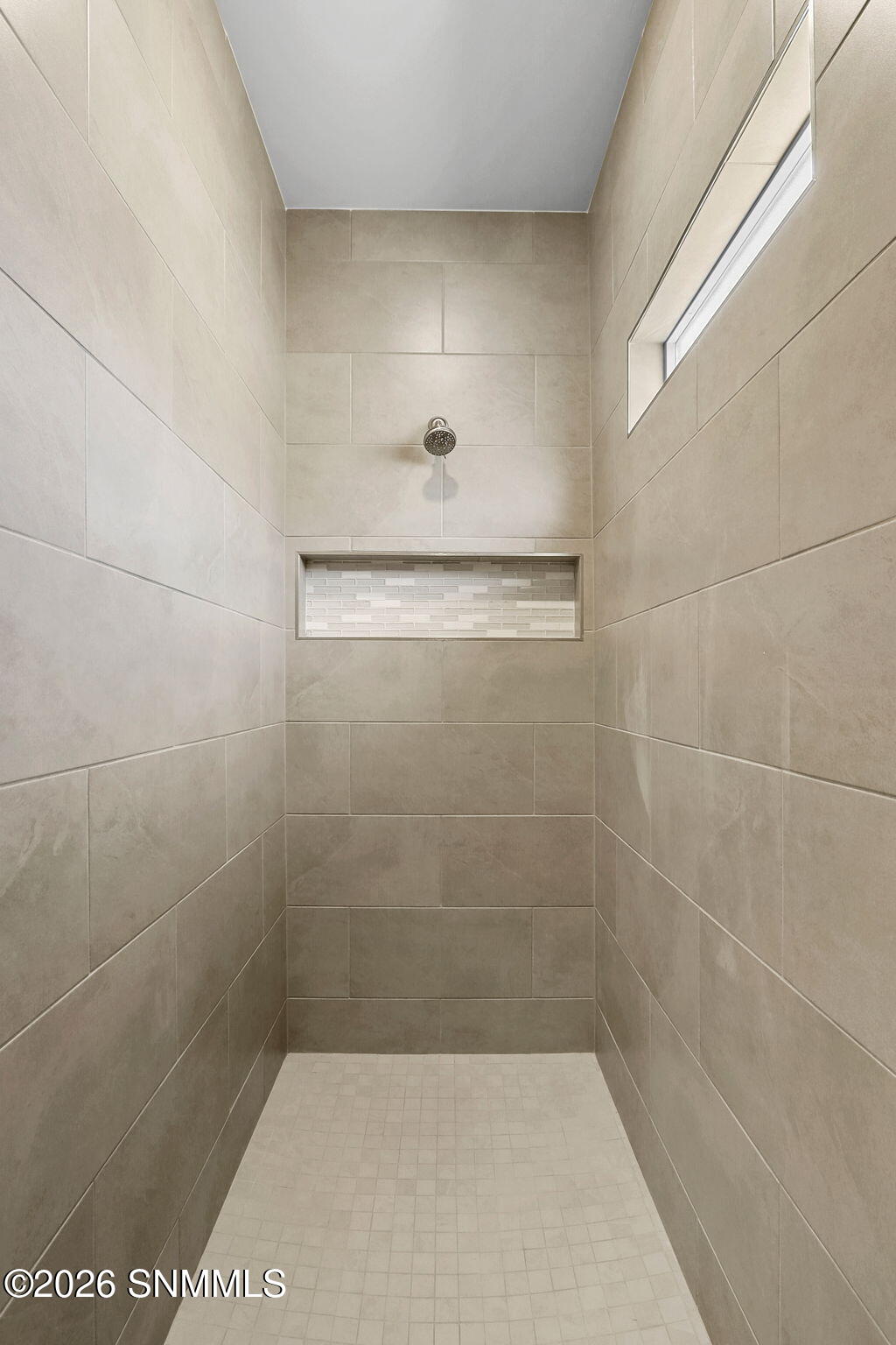 Primary Walk-in Shower