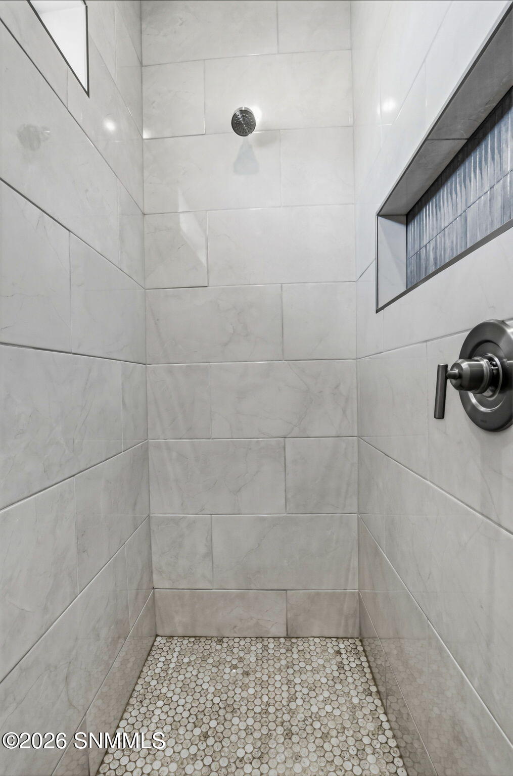 Primary Walk-in Shower