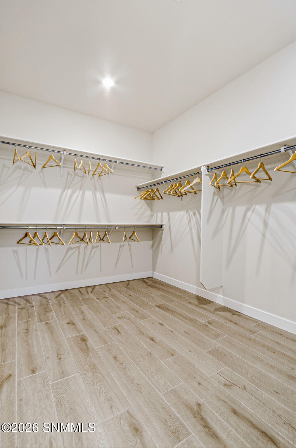 Primary Walk-in Closet