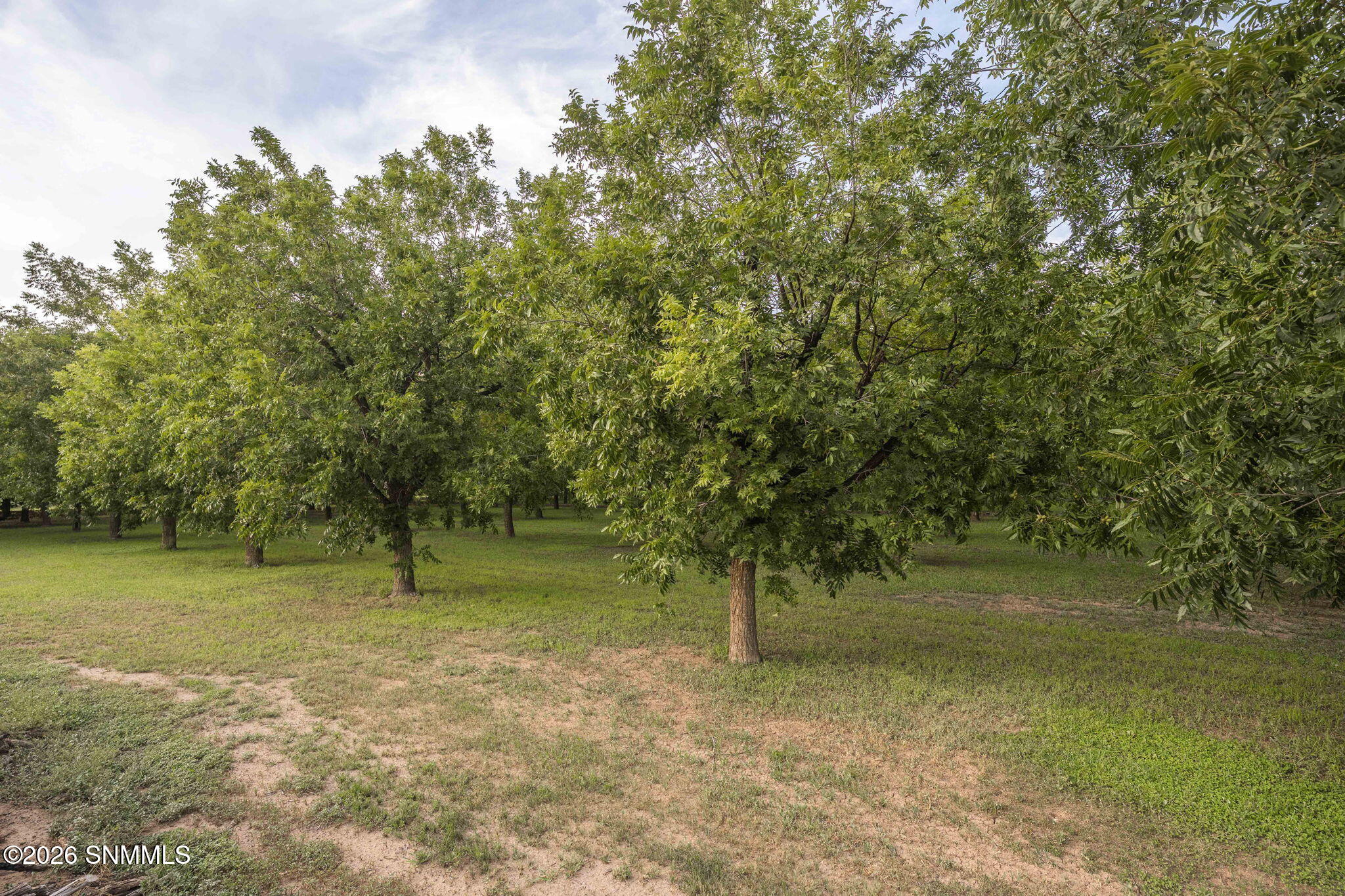 64-web-or-mls-Snappin Homes (Engler820)-