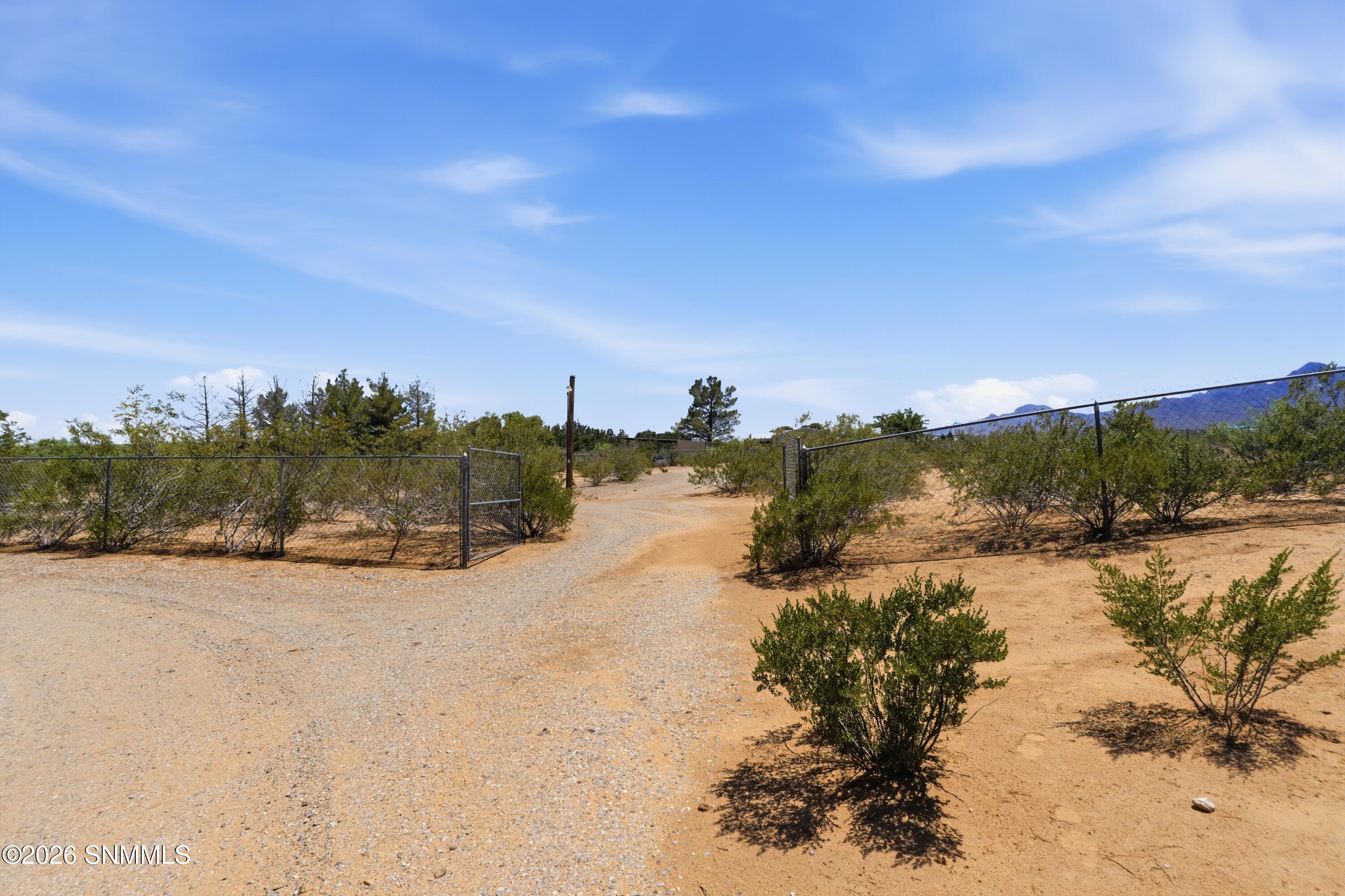 Cactus_Keys_Group_004