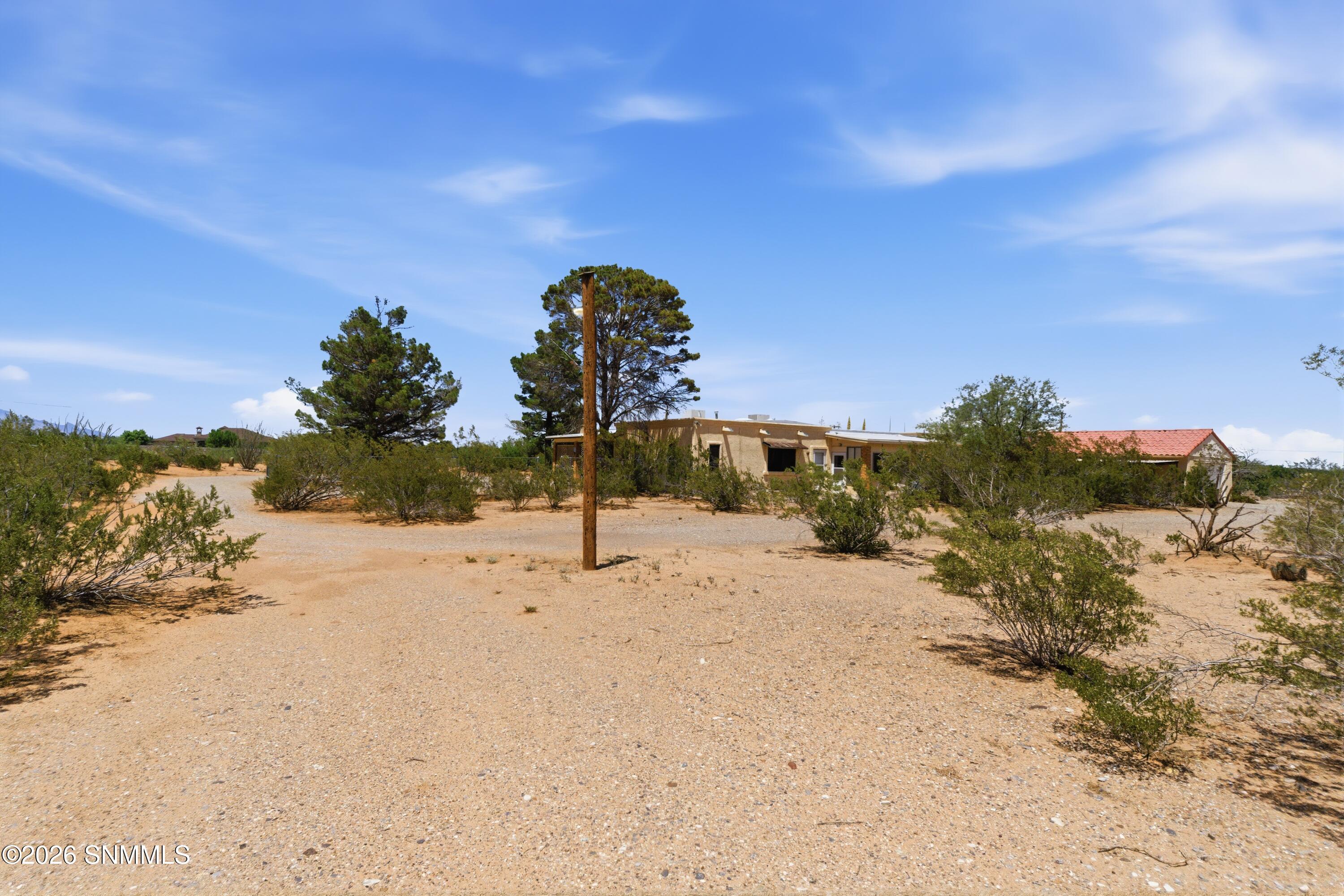Cactus_Keys_Group_005