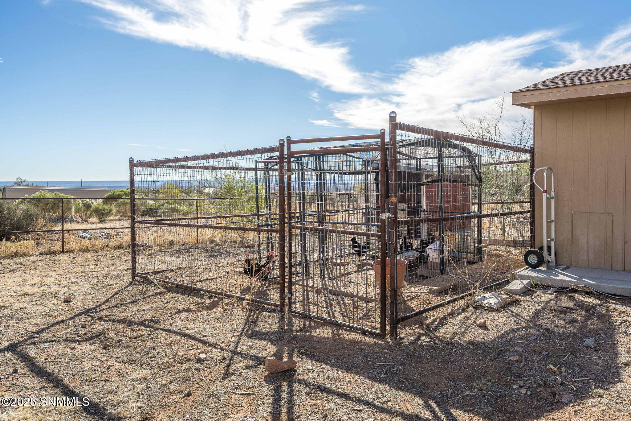 Chicken Coop