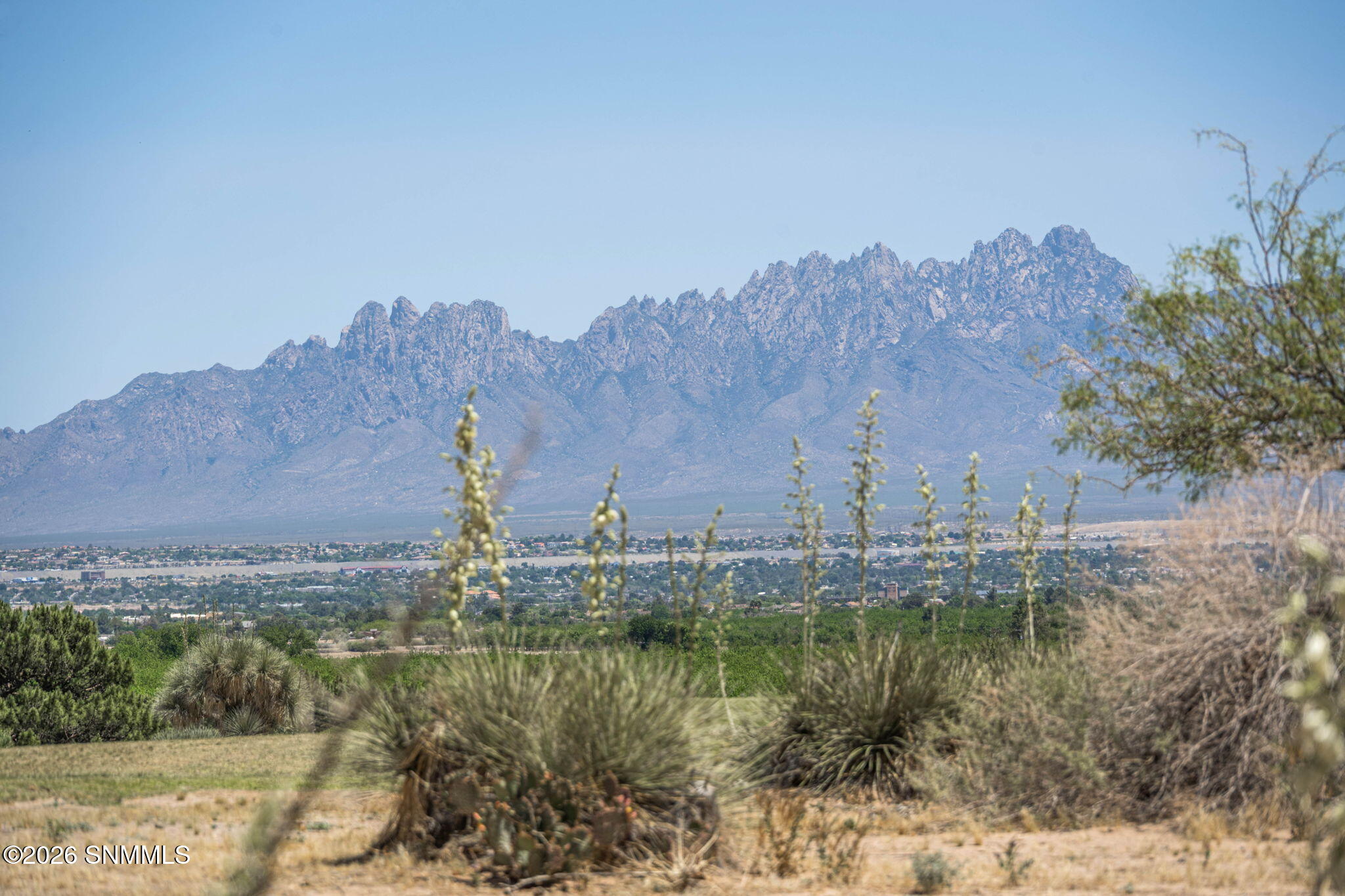 48-web-or-mls-Snappin Homes (LasCasitas2