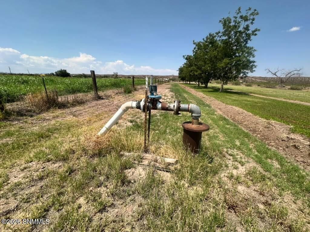 irrigation