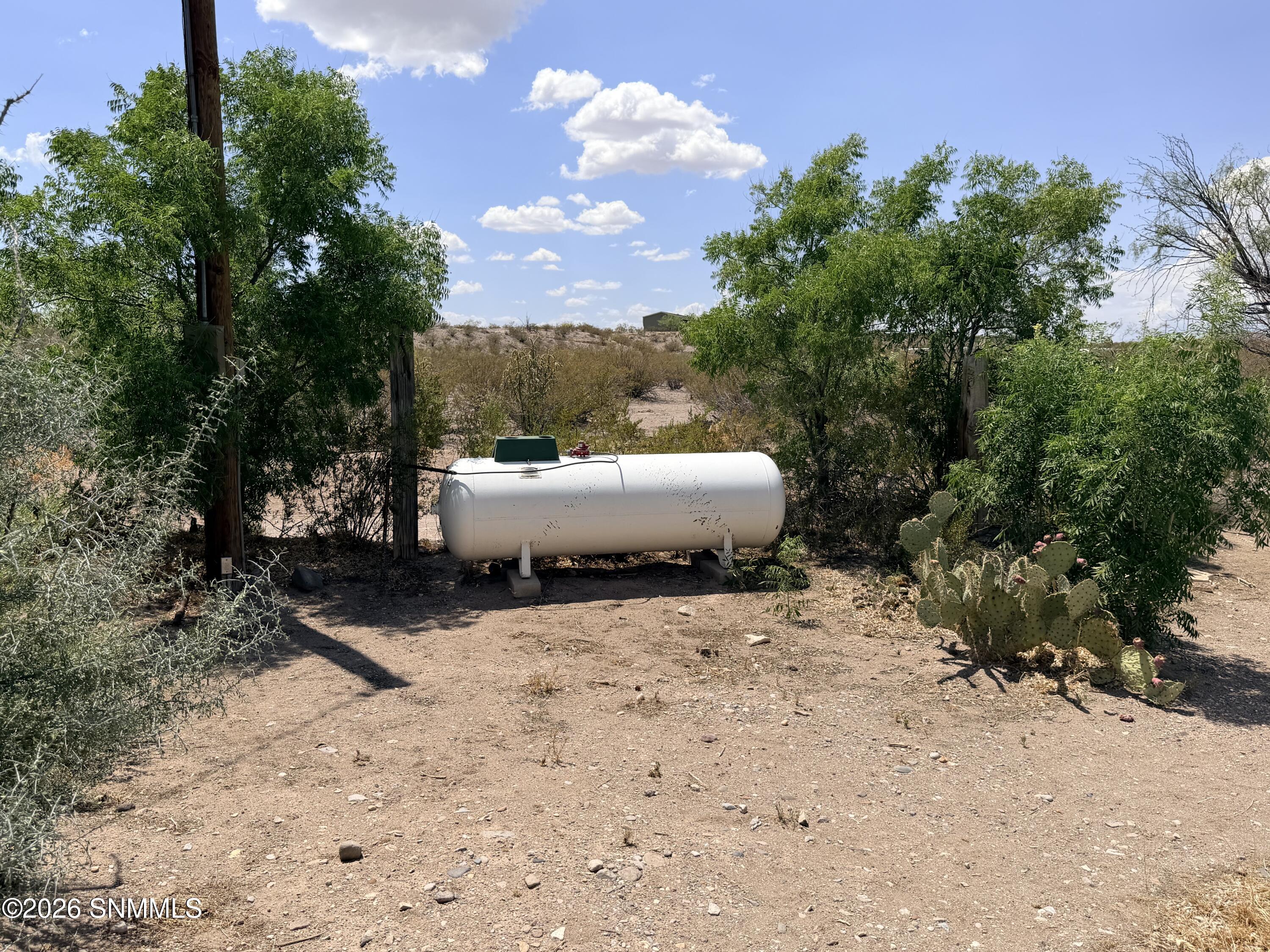 Propane Tank