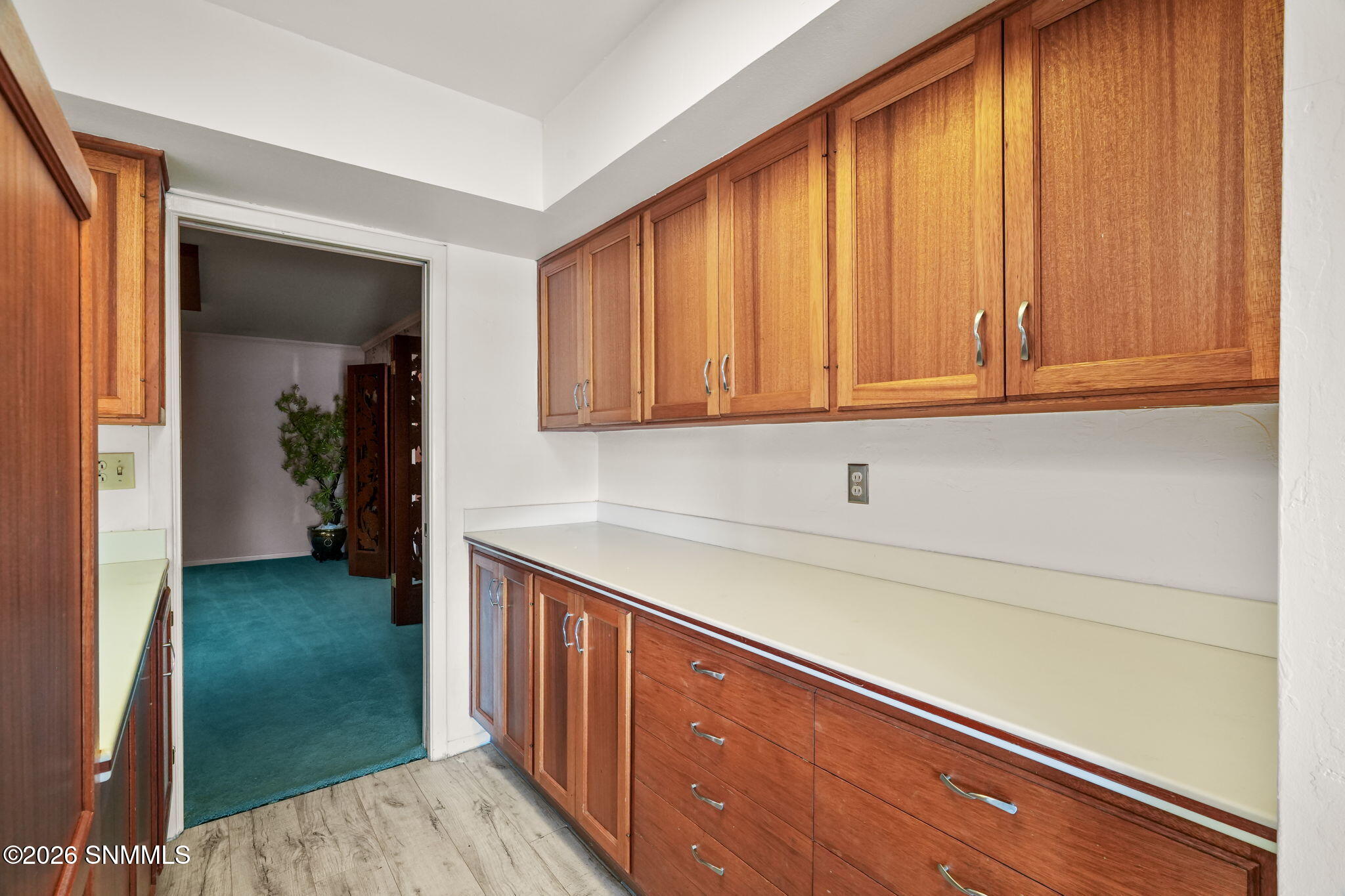 2035 Turrentine Dr-25