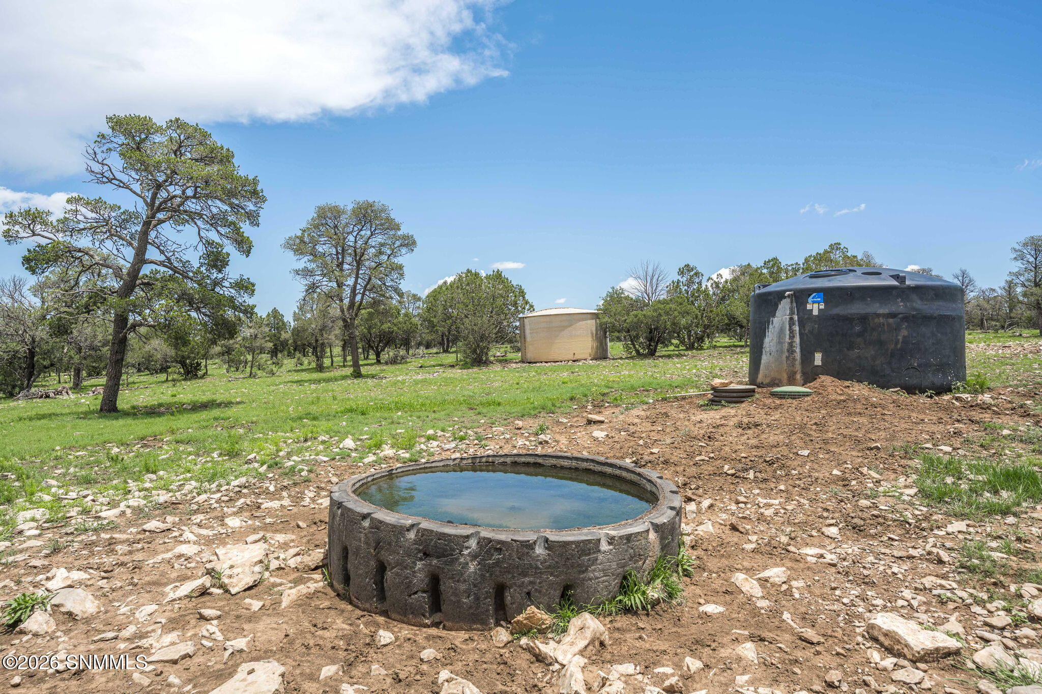 30-web-or-mls-Snappin Homes (DryCreekRan