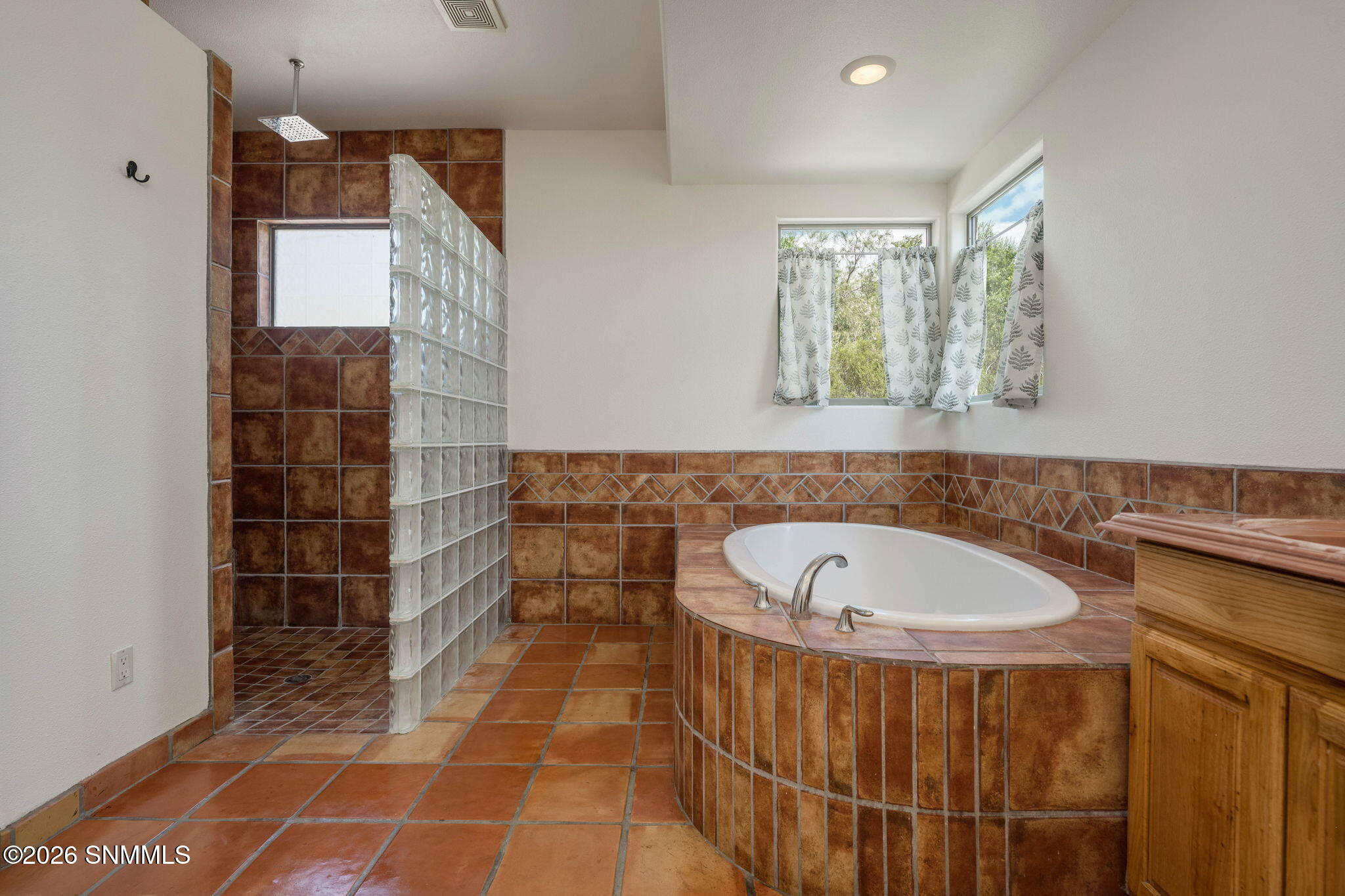 Jetted Tub/Shower