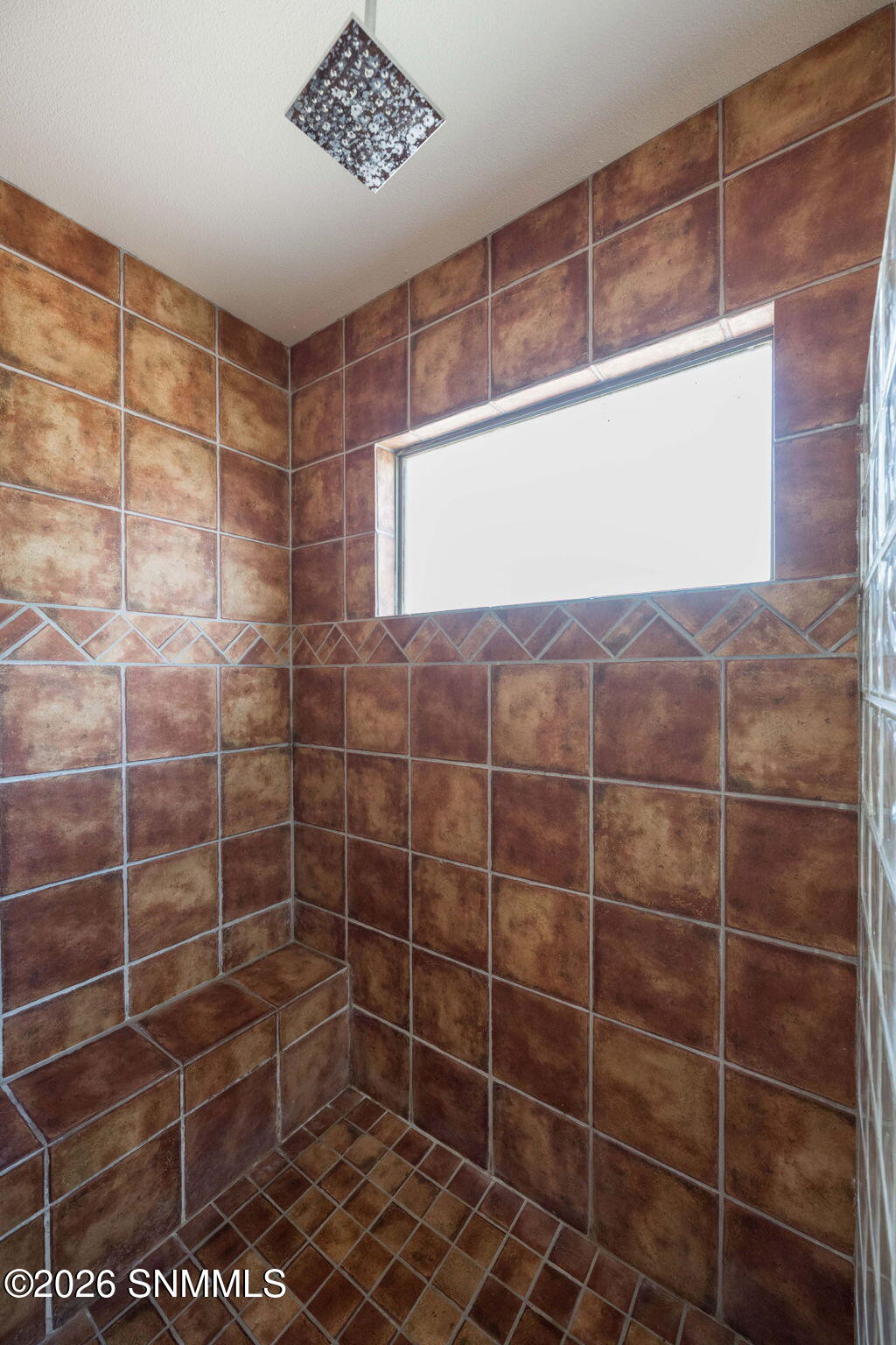 Primary Shower