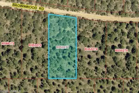 68 Brownwood Road, Timberon, New Mexico 88350, ,Land,For Sale,Brownwood,2602629