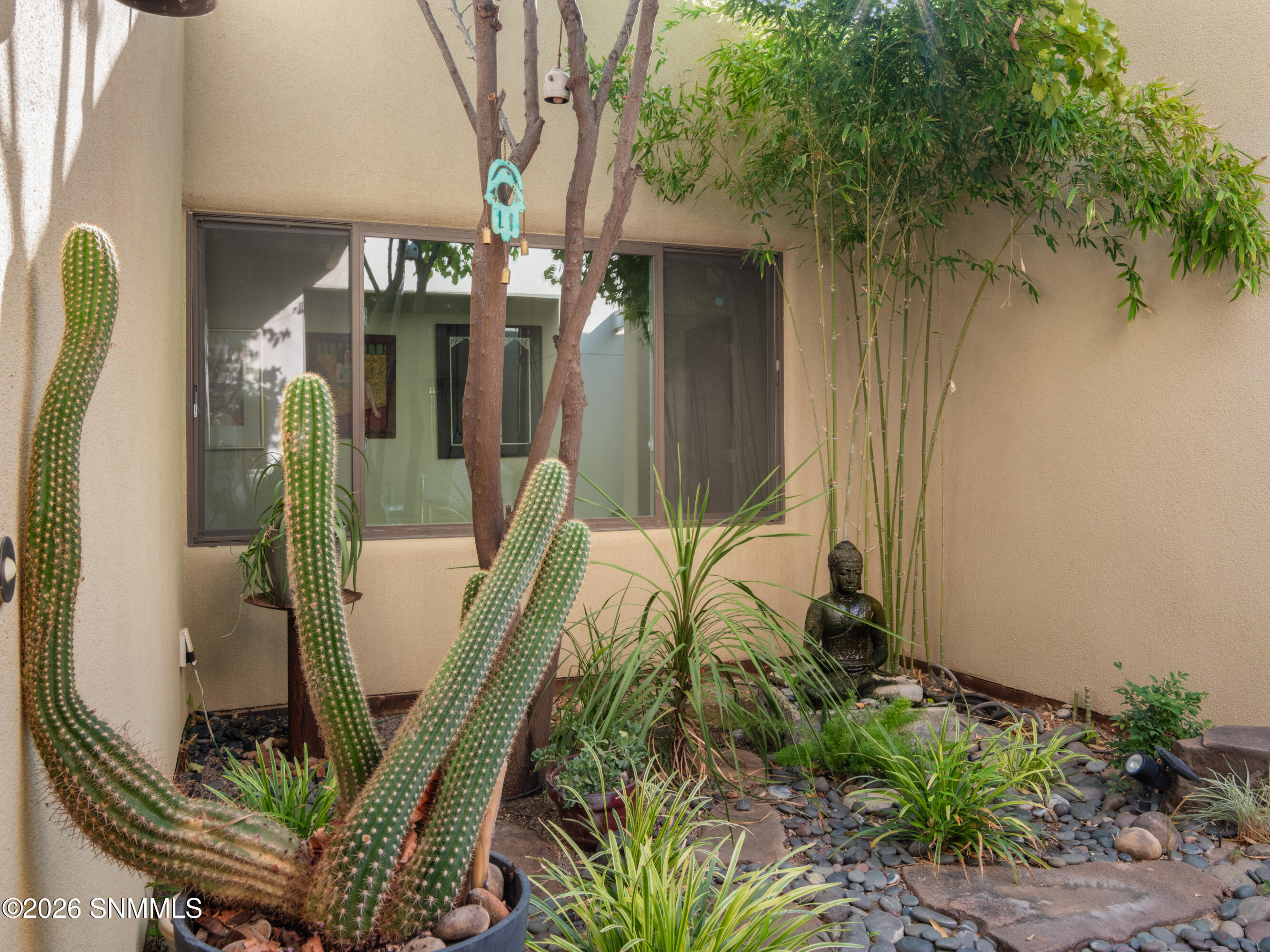 Cactus garden