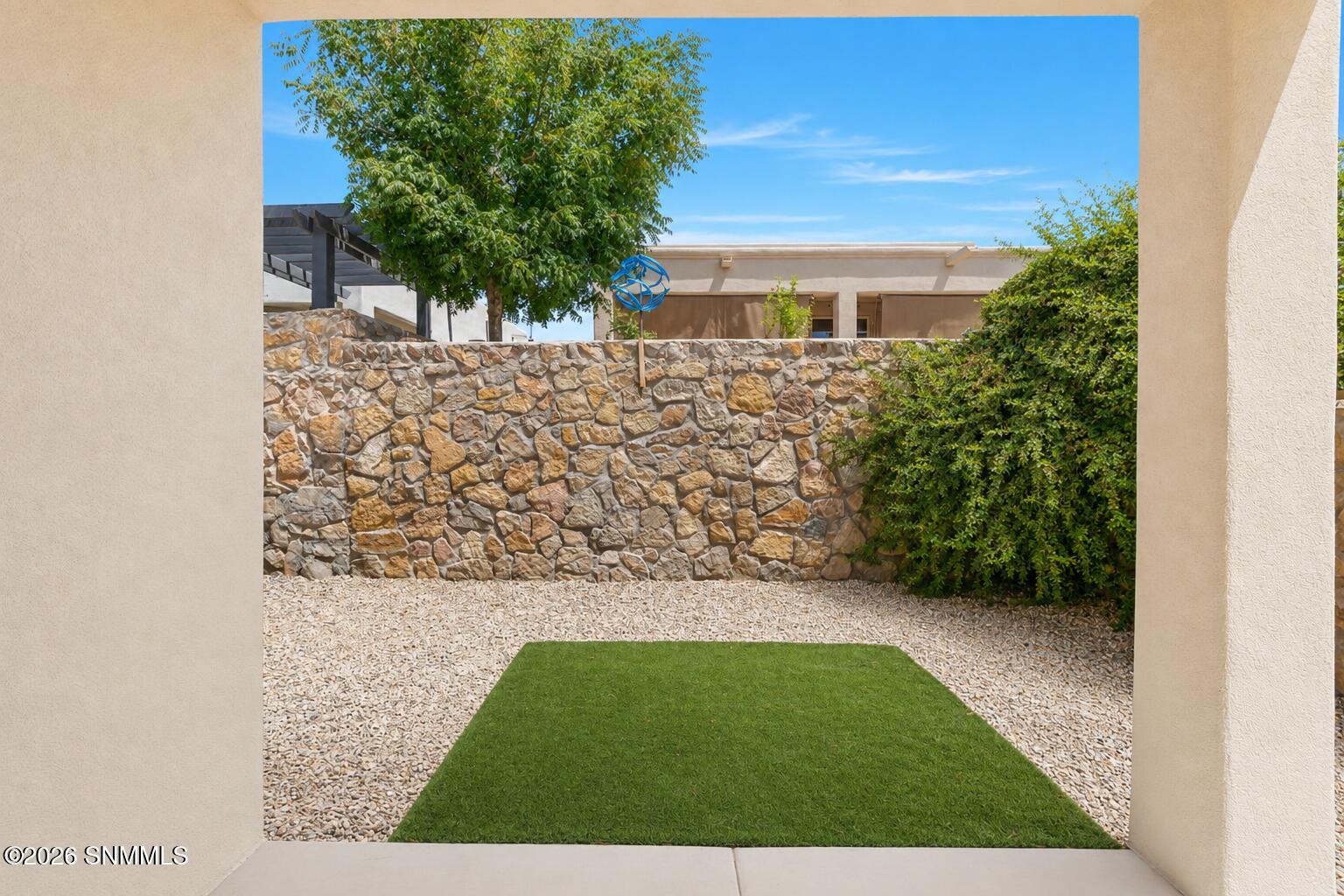 back yard