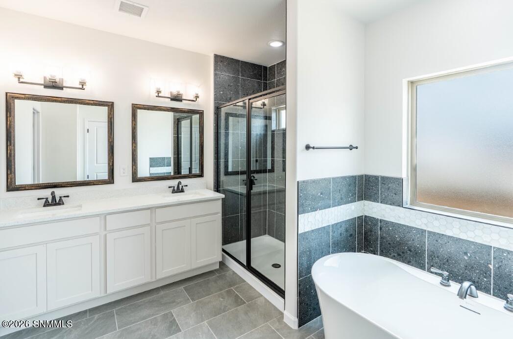 Owner's Bath