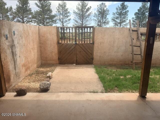 Back yard