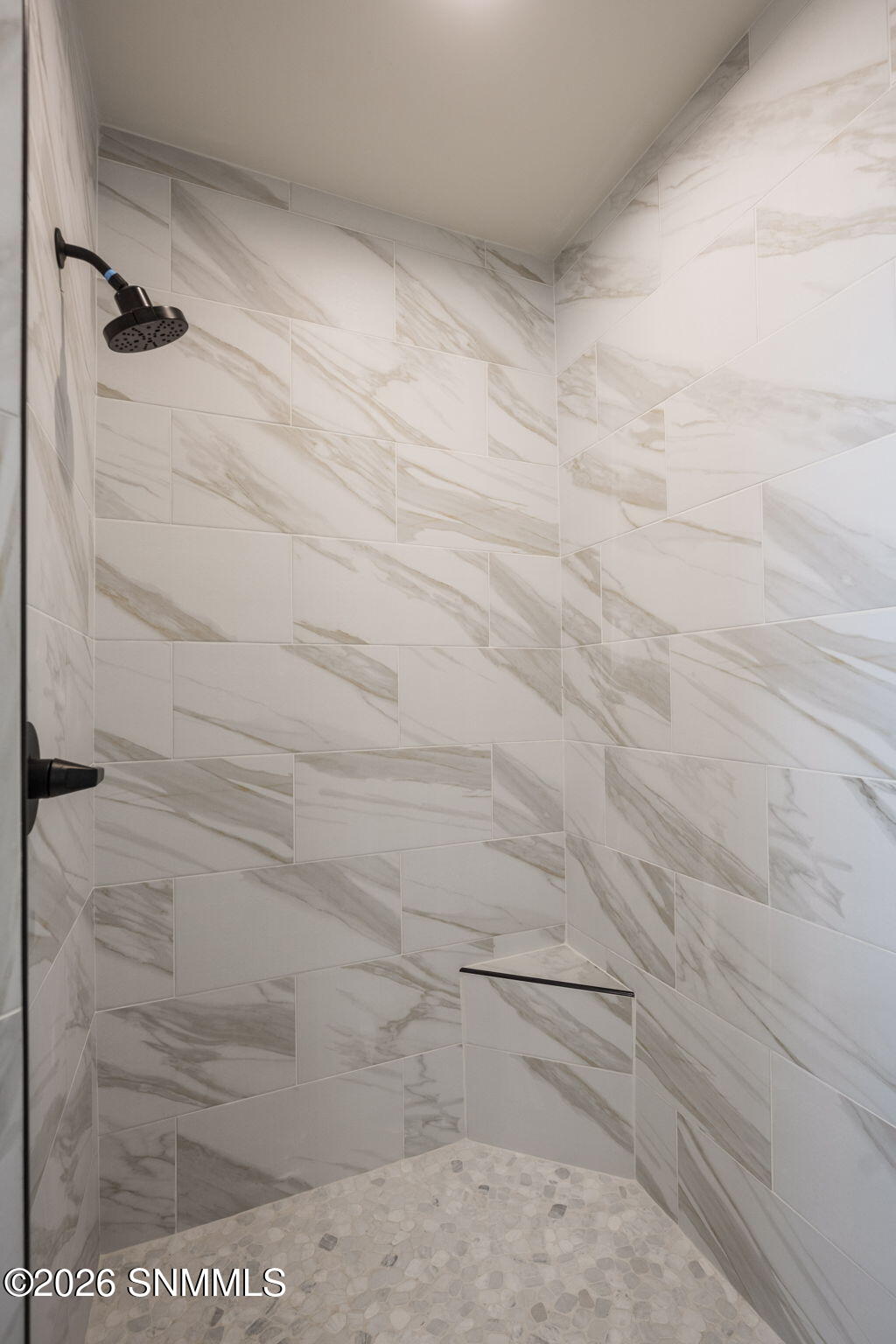 Primary Shower
