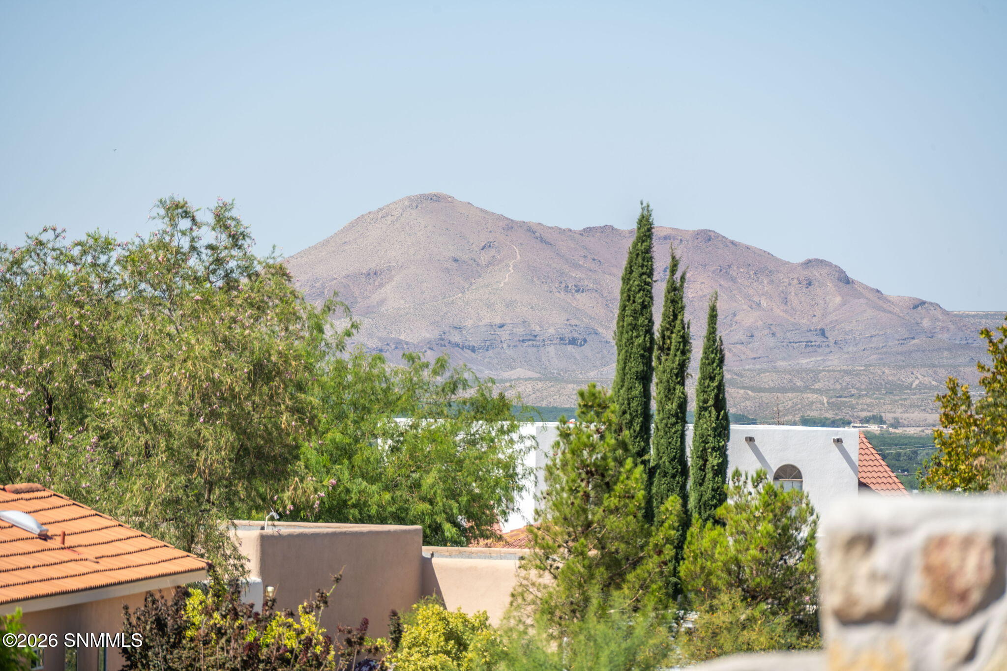 Backyard View