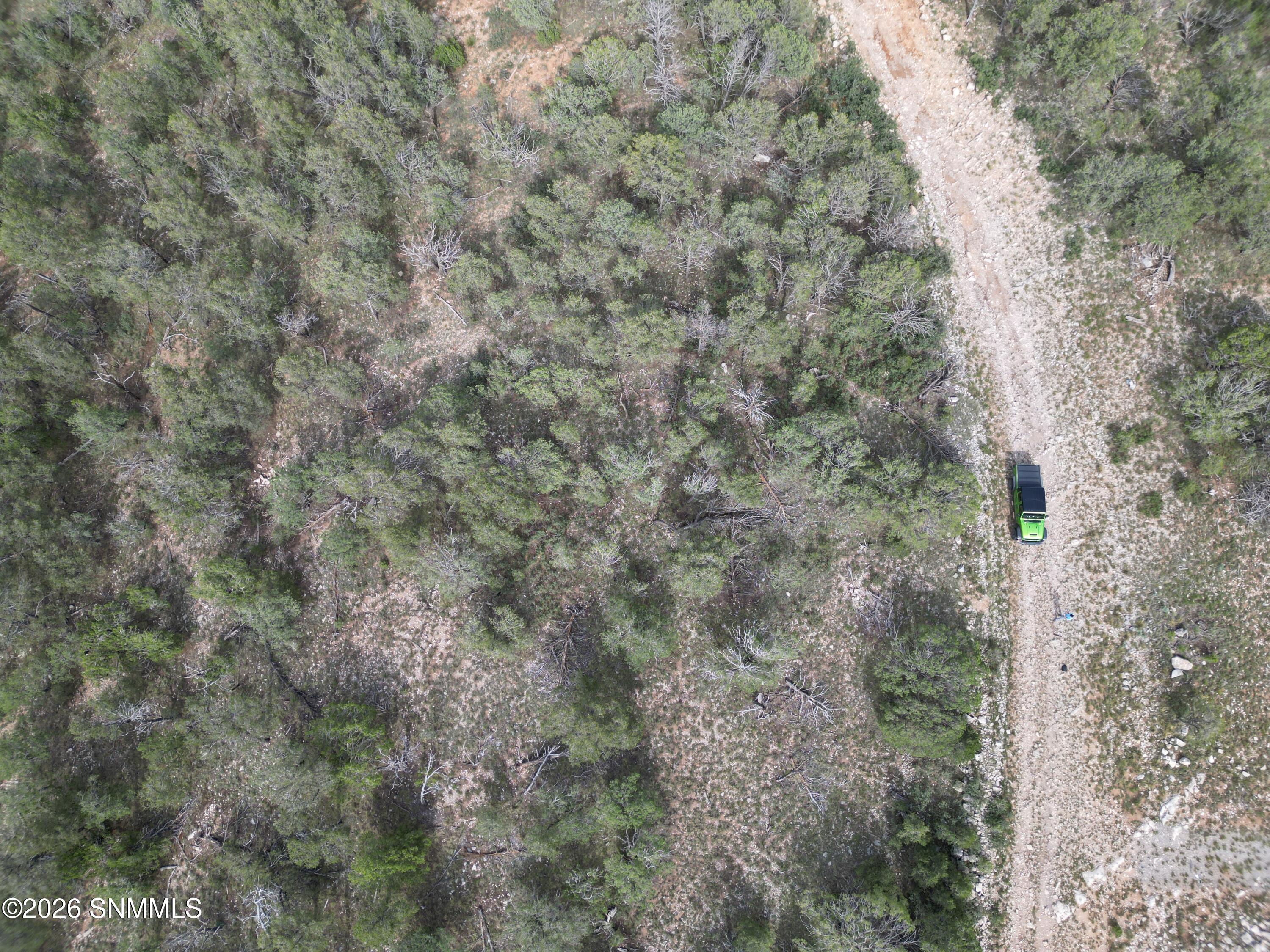DJI_0871