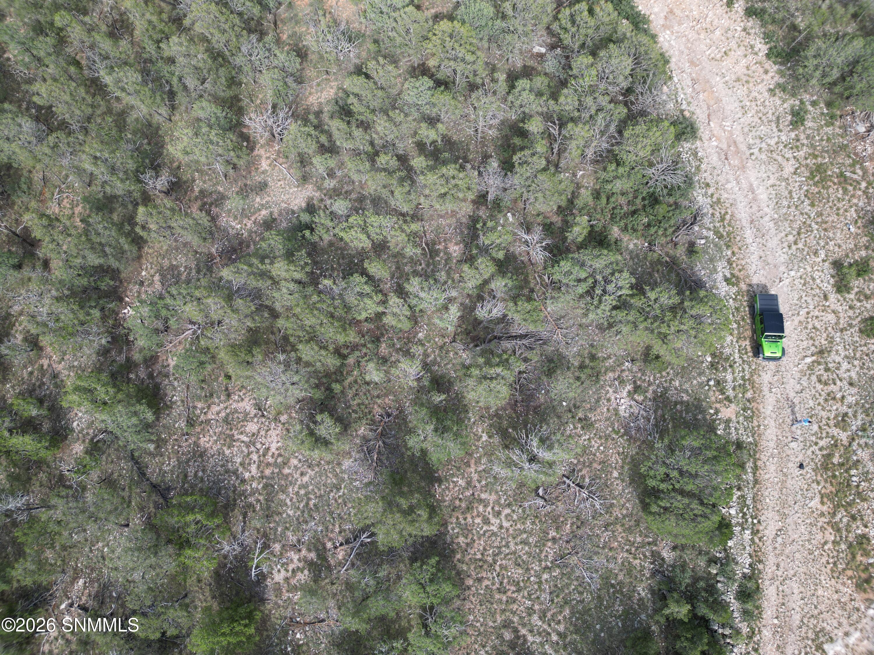 DJI_0869