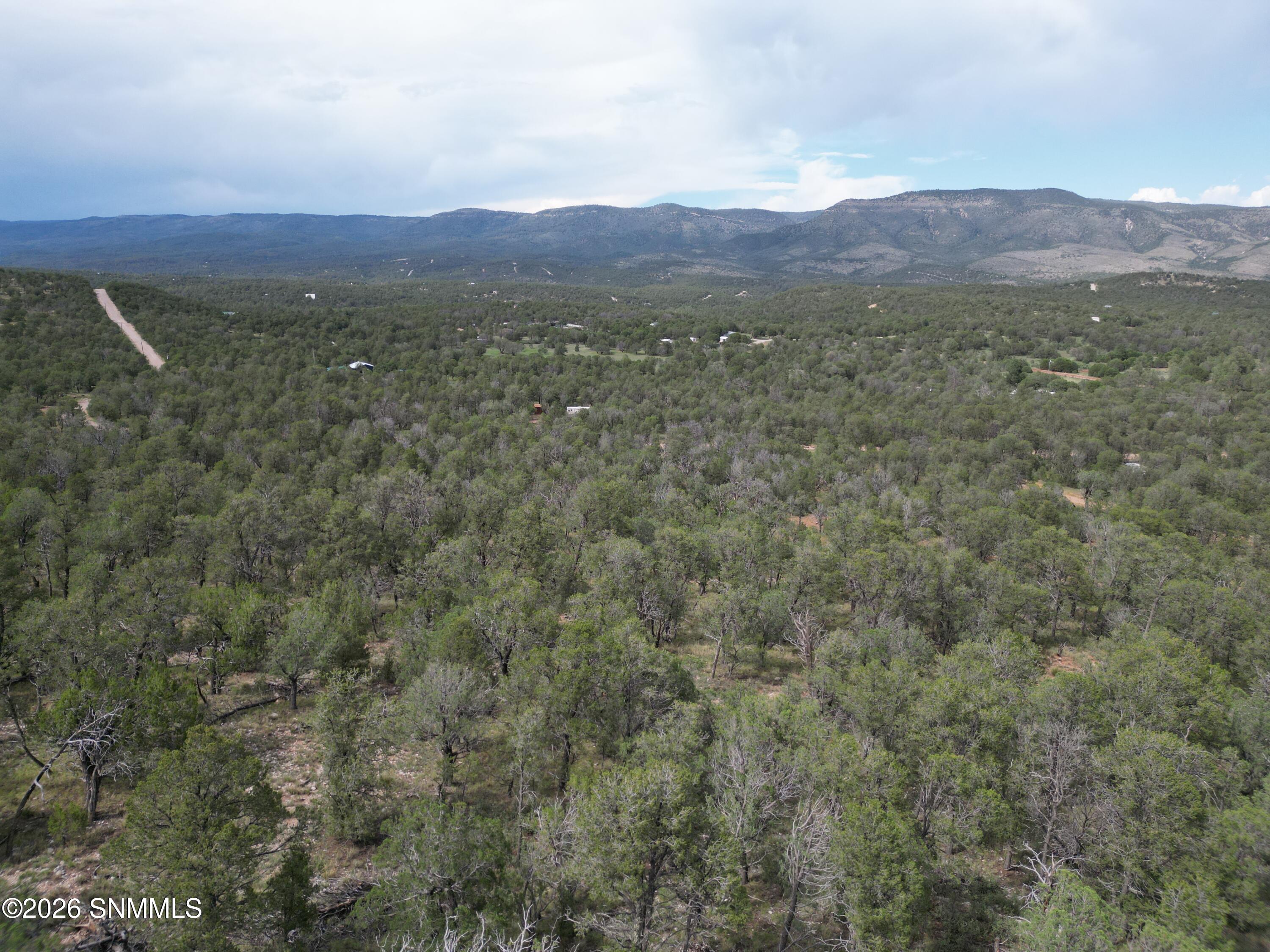 DJI_0866