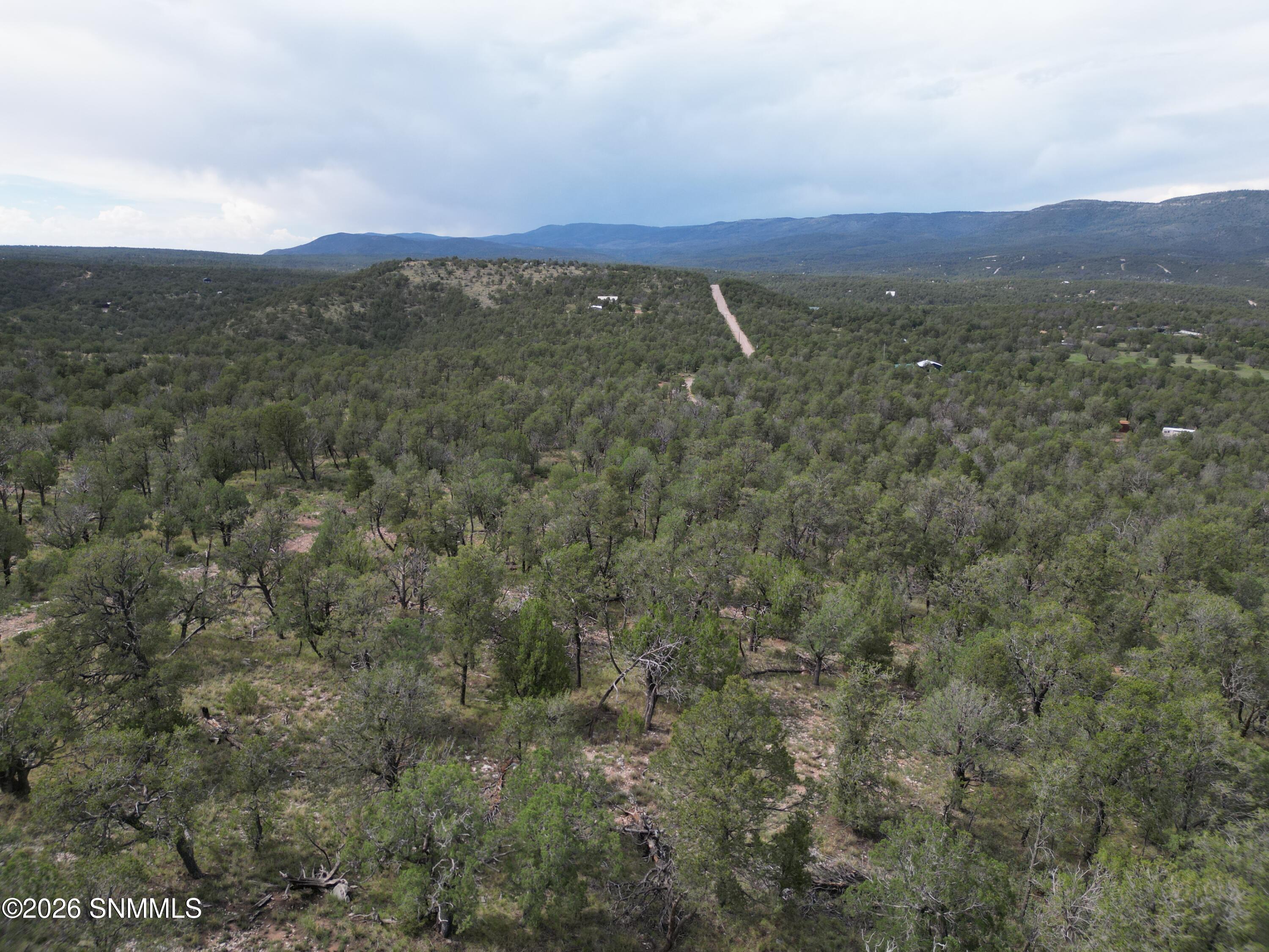 DJI_0867