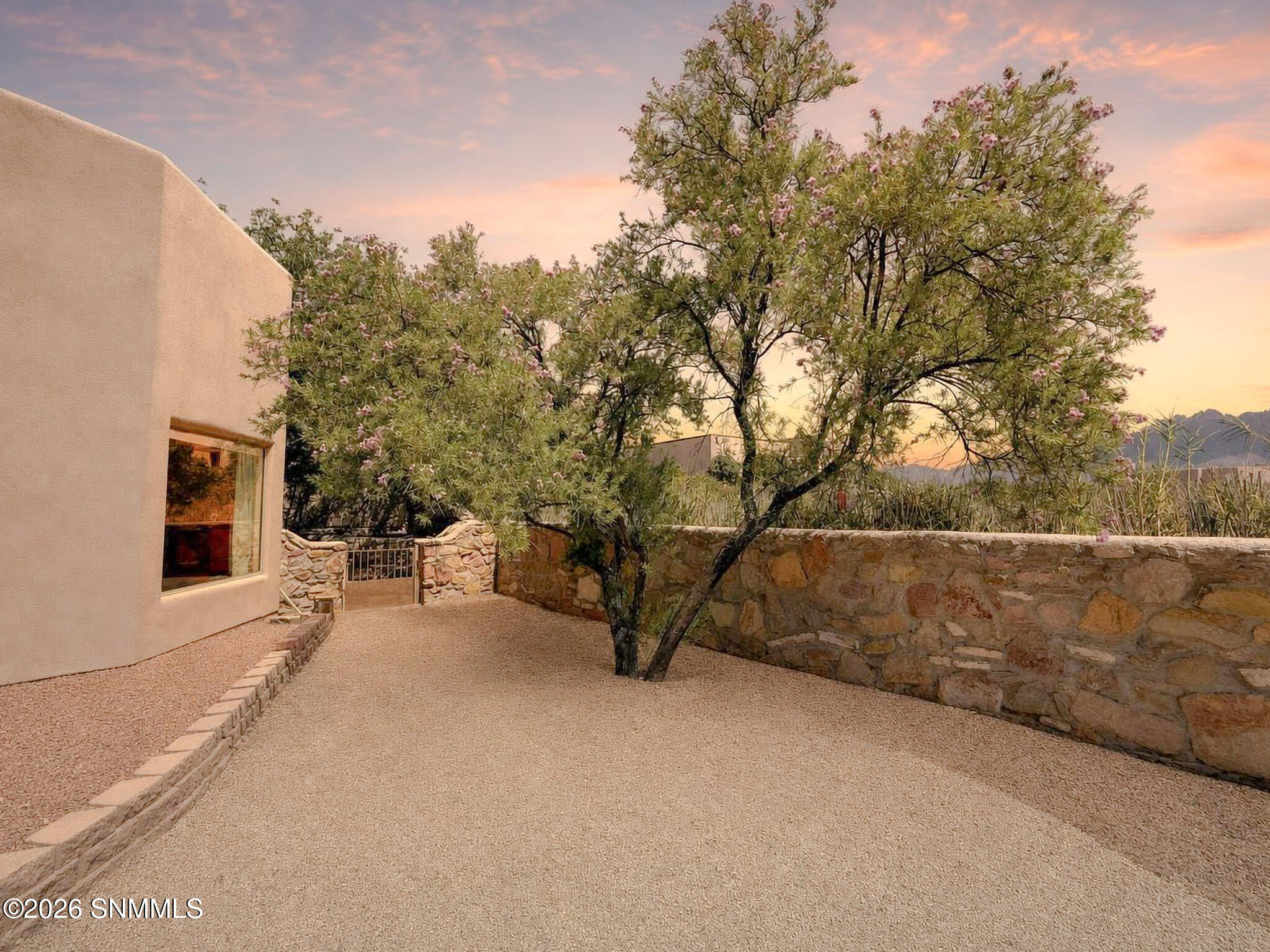 PATINO REAL ESTATE - 57 - Backyard 8
