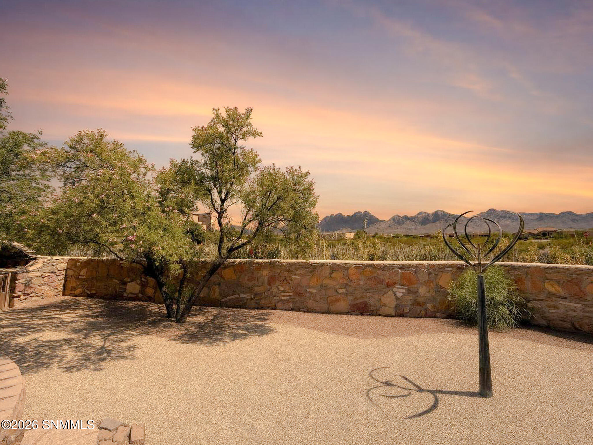 PATINO REAL ESTATE - 58 - Backyard 9