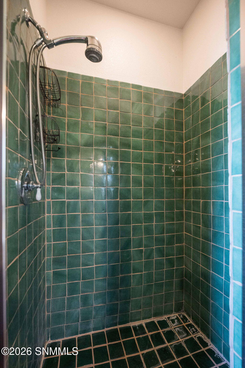 38-web-or-mls-Snappin Homes (AchenbachCa